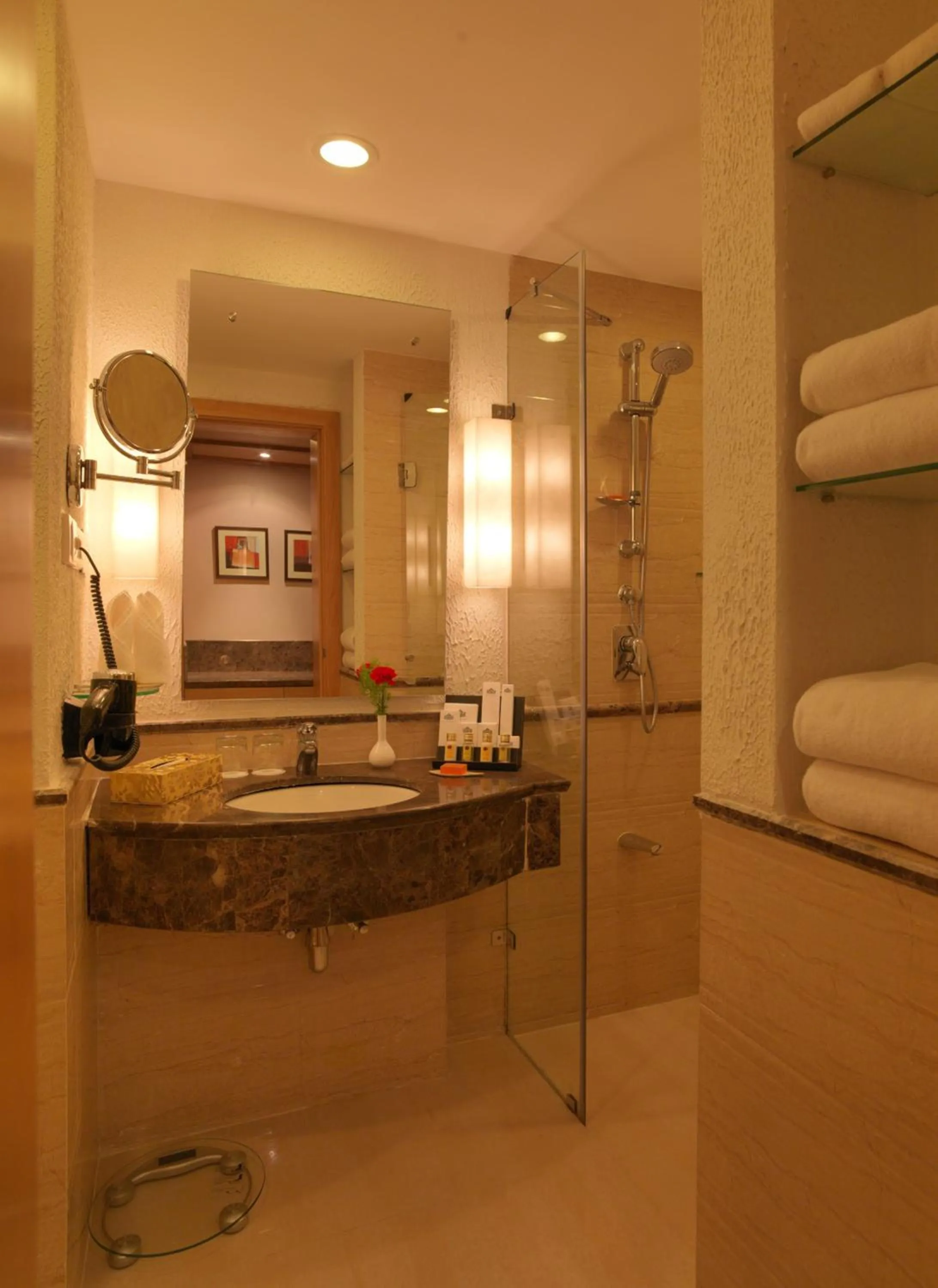 Toilet in Mysore County Retreat