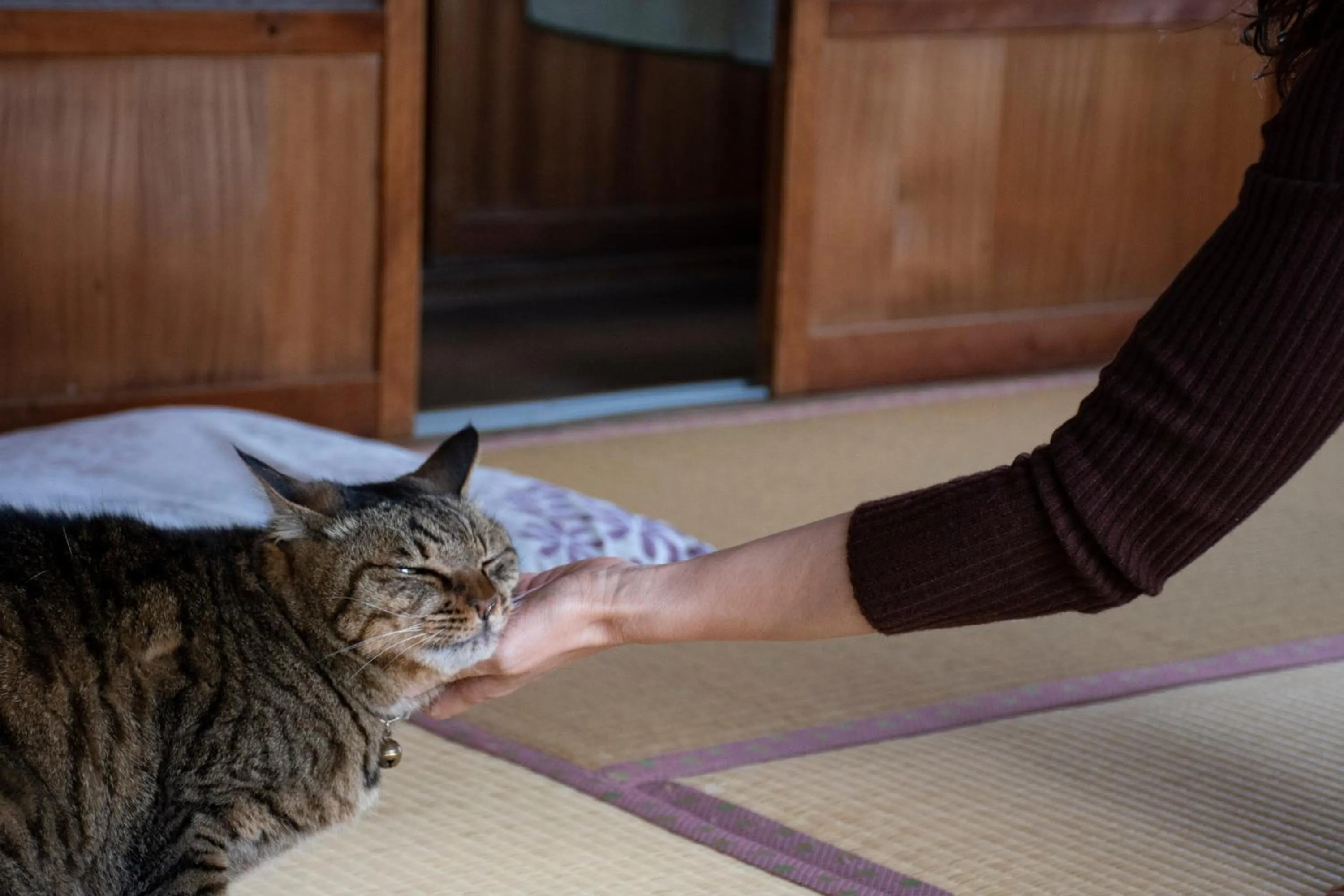 Time of day in Guest Cafe Kuchikumano