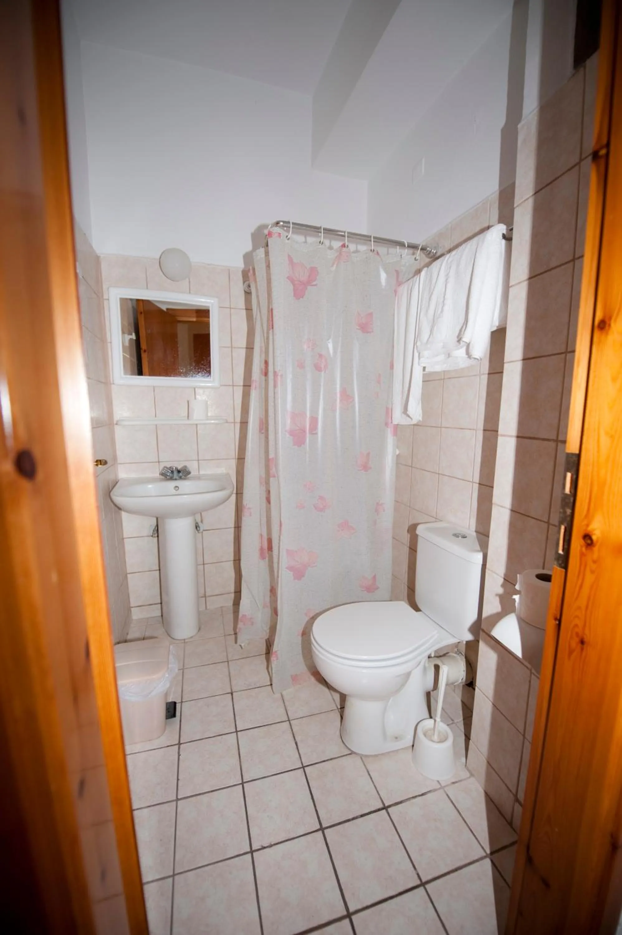 Shower in Veroniki Hotel