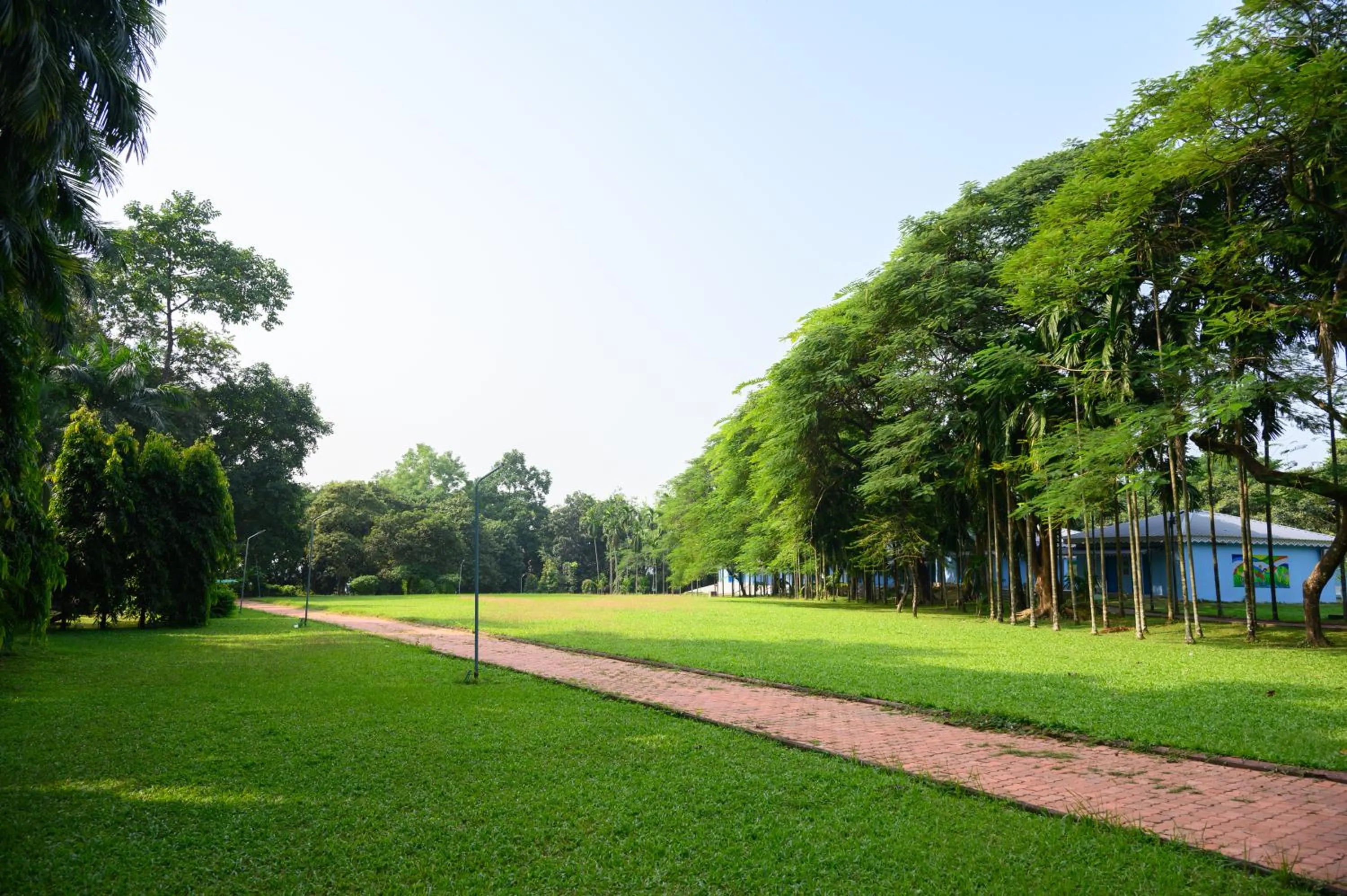 View (from property/room) in Sinclairs Retreat Dooars, Chalsa