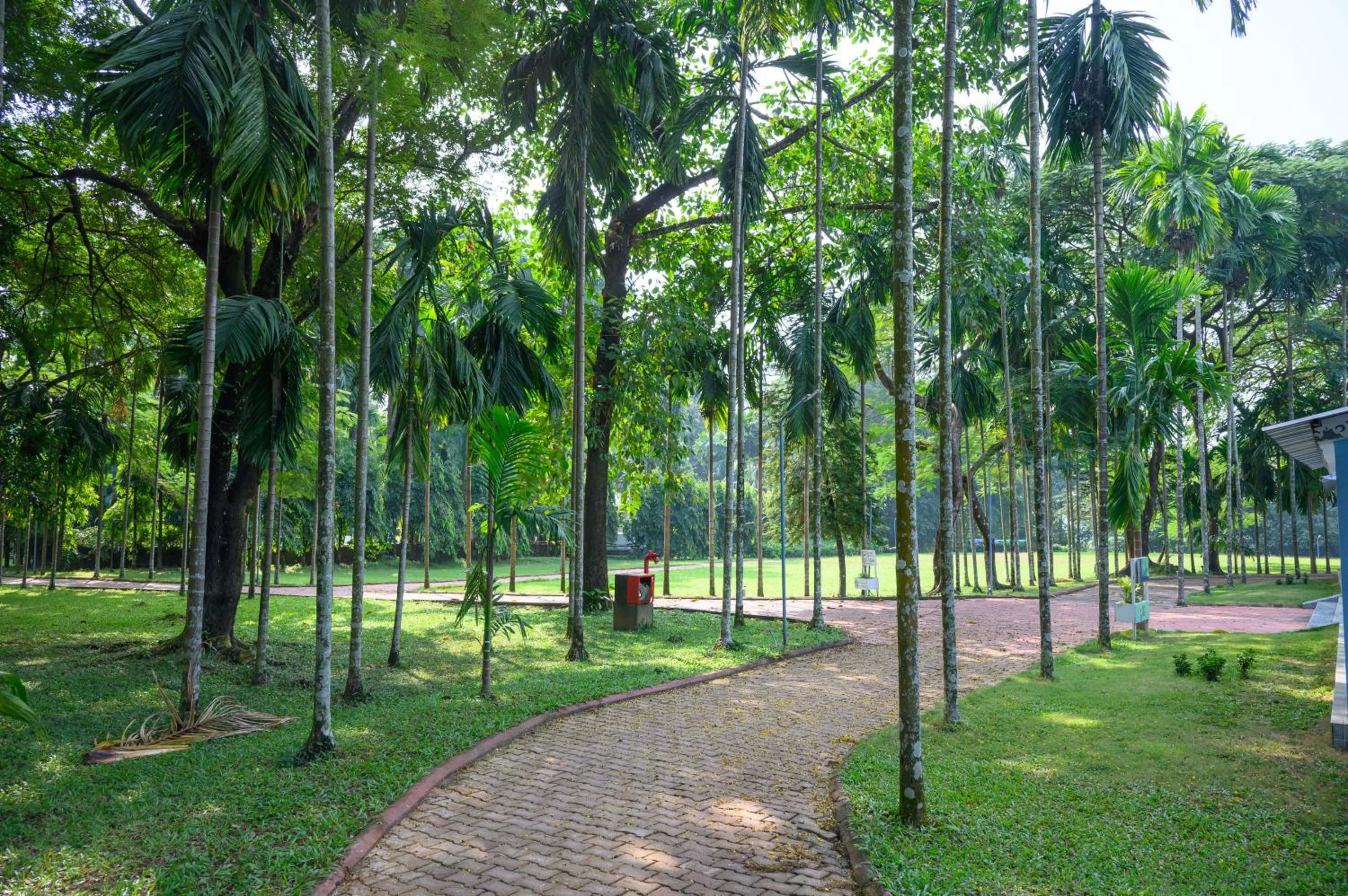 Garden in Sinclairs Retreat Dooars, Chalsa