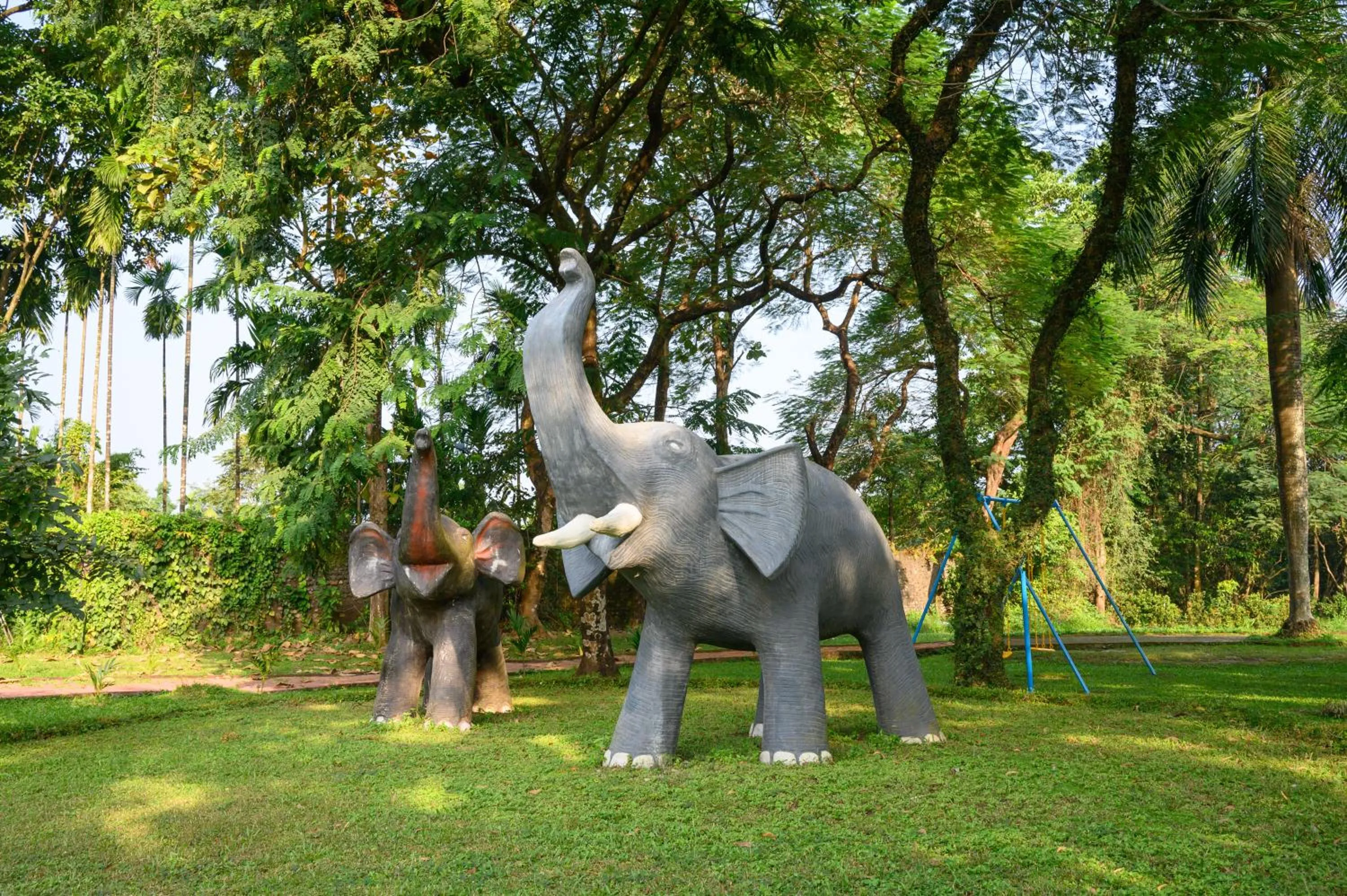 Area and facilities in Sinclairs Retreat Dooars, Chalsa