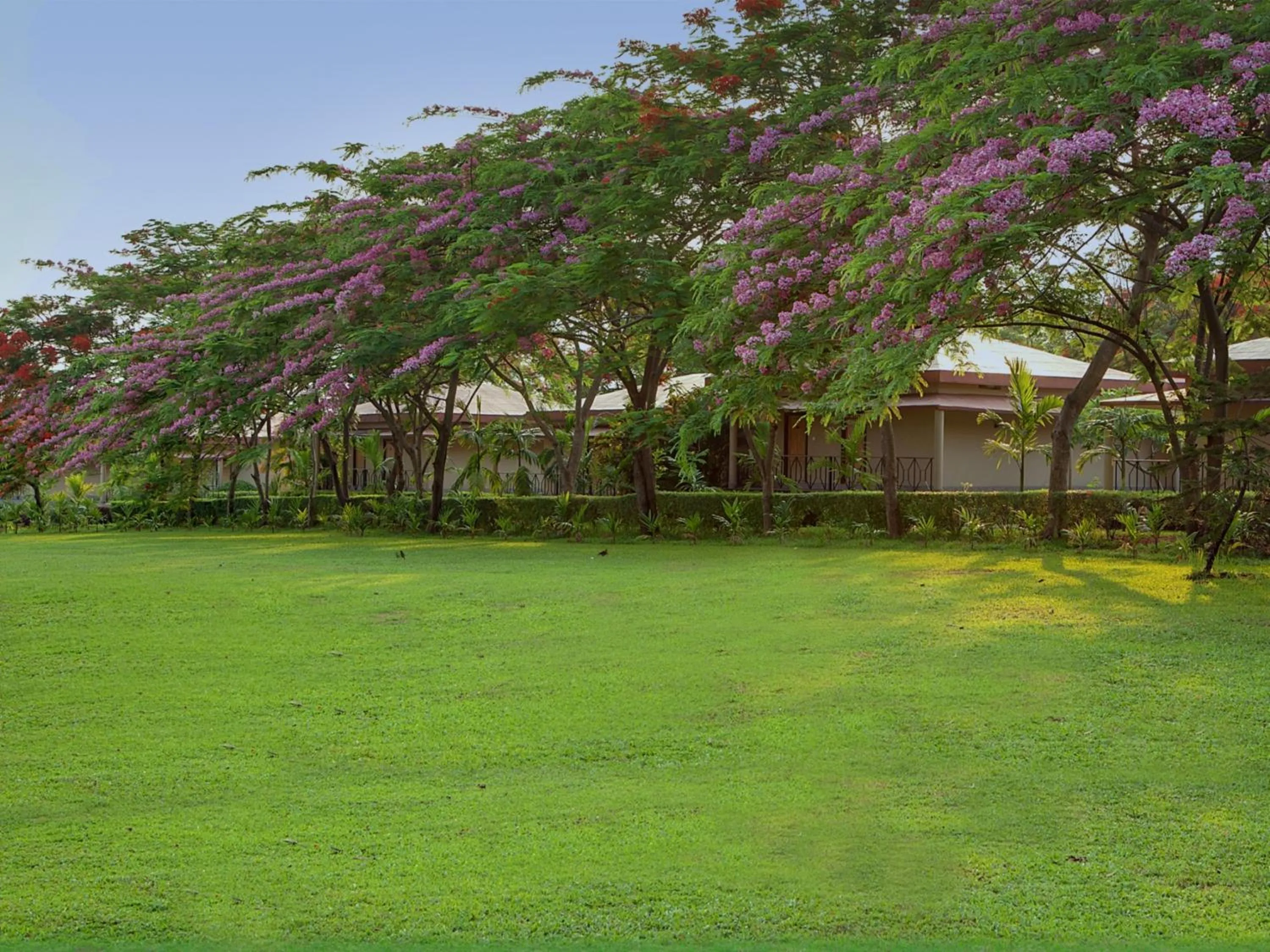 Garden in Sinclairs Retreat Dooars, Chalsa