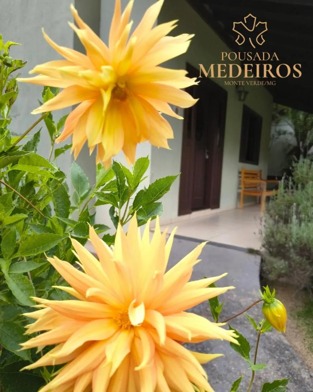 Pousada Medeiros