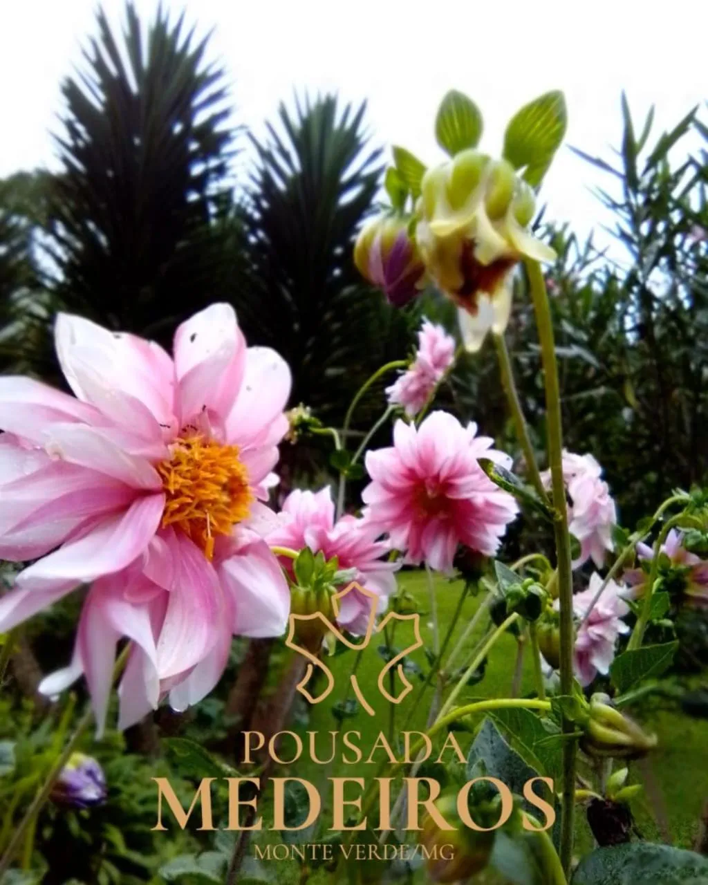 Pousada Medeiros