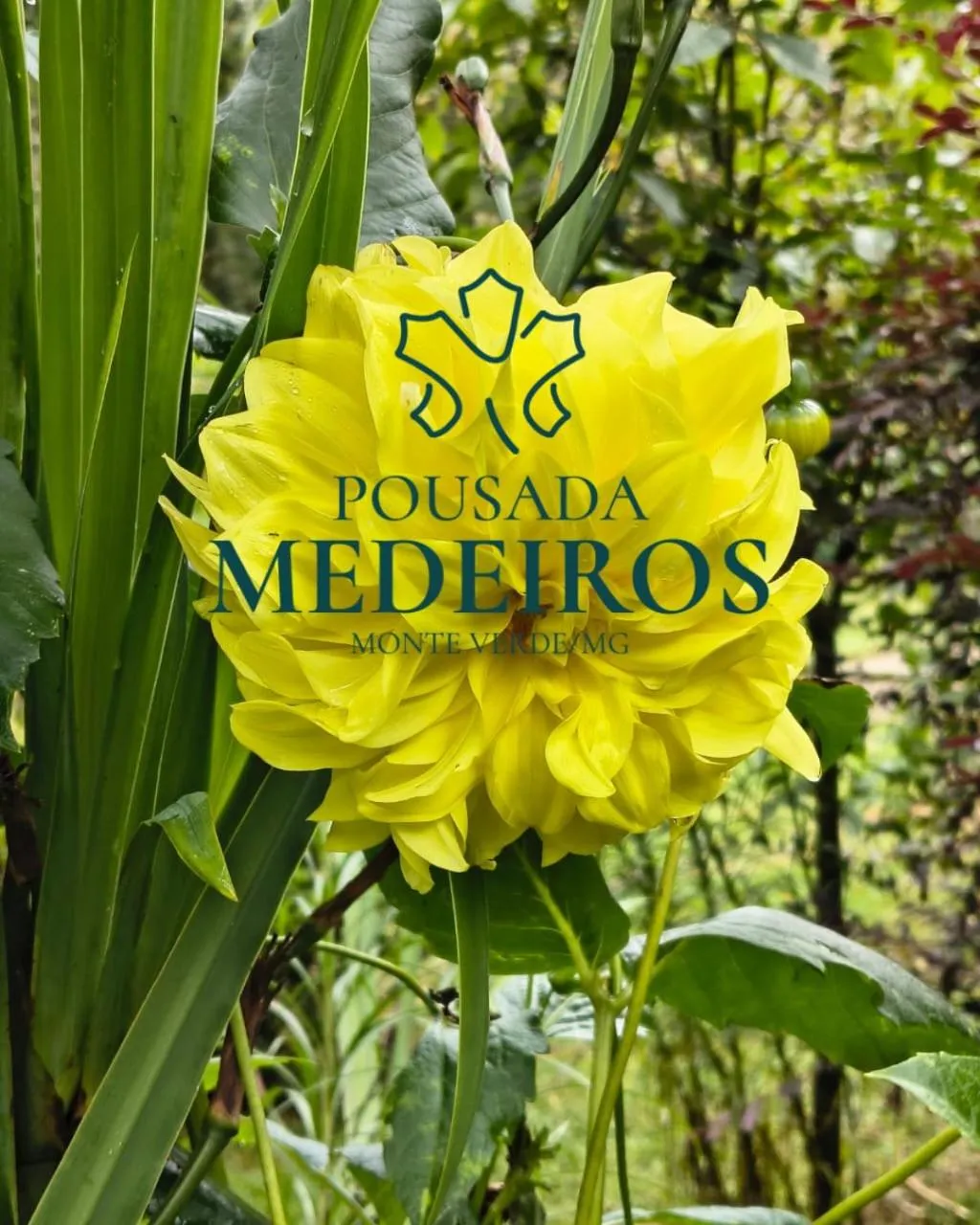 Pousada Medeiros