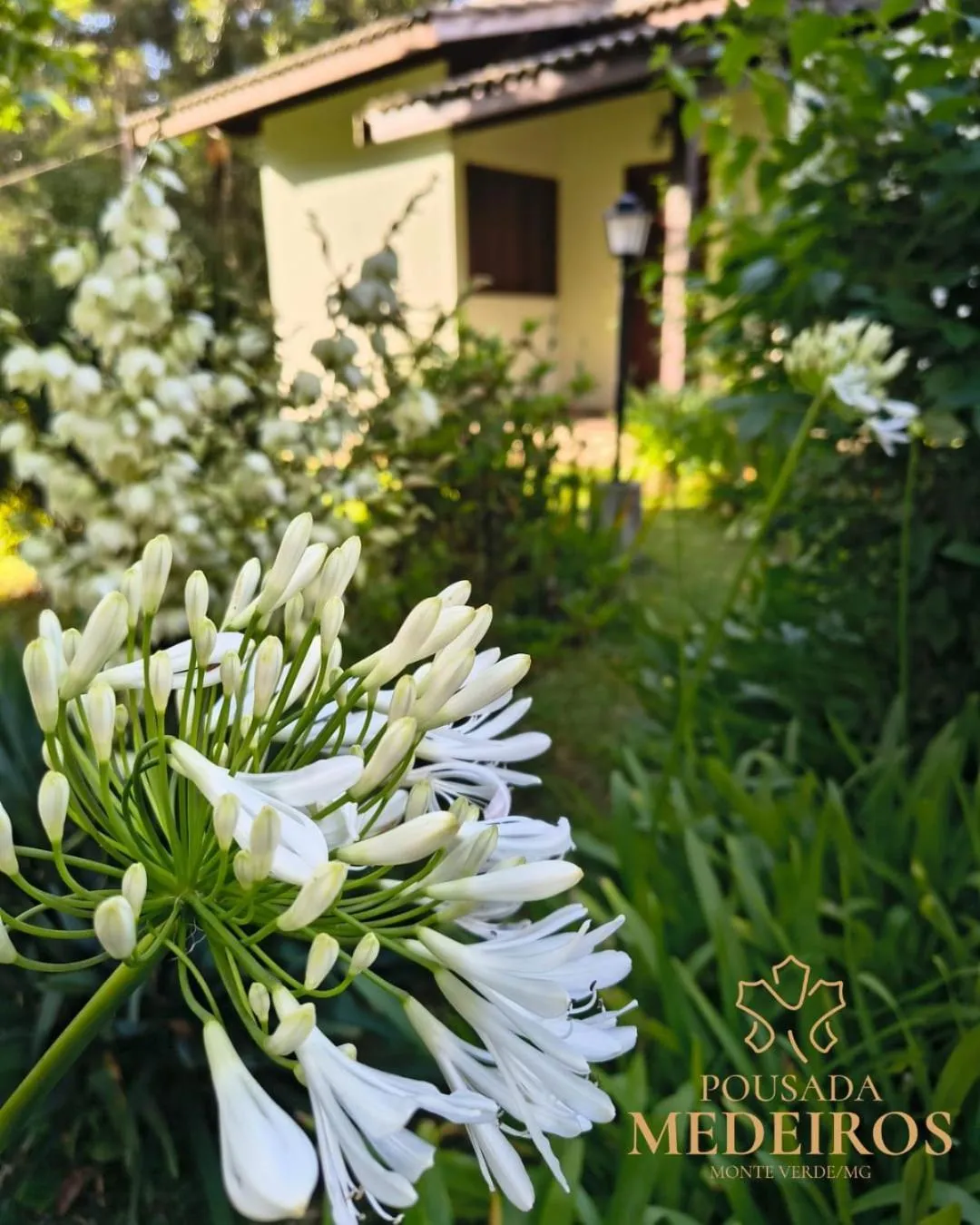 Pousada Medeiros
