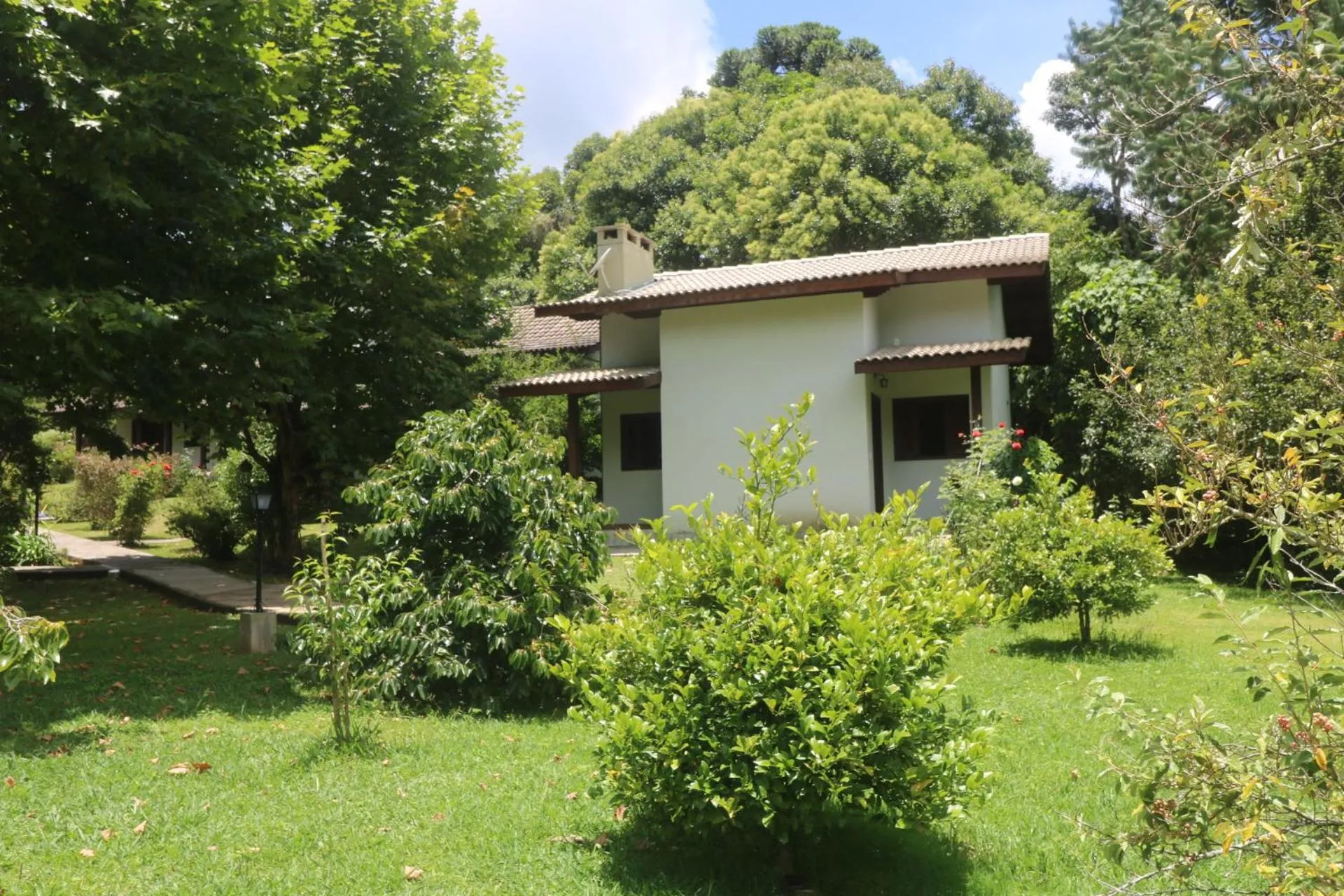 Garden in Pousada Medeiros