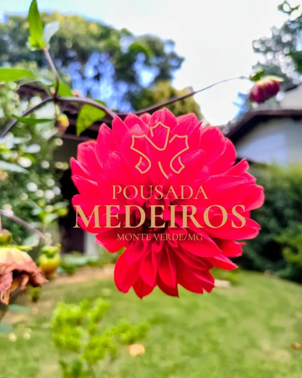 Pousada Medeiros