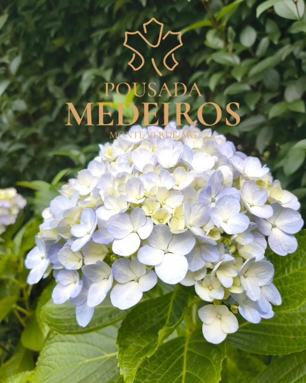 Pousada Medeiros