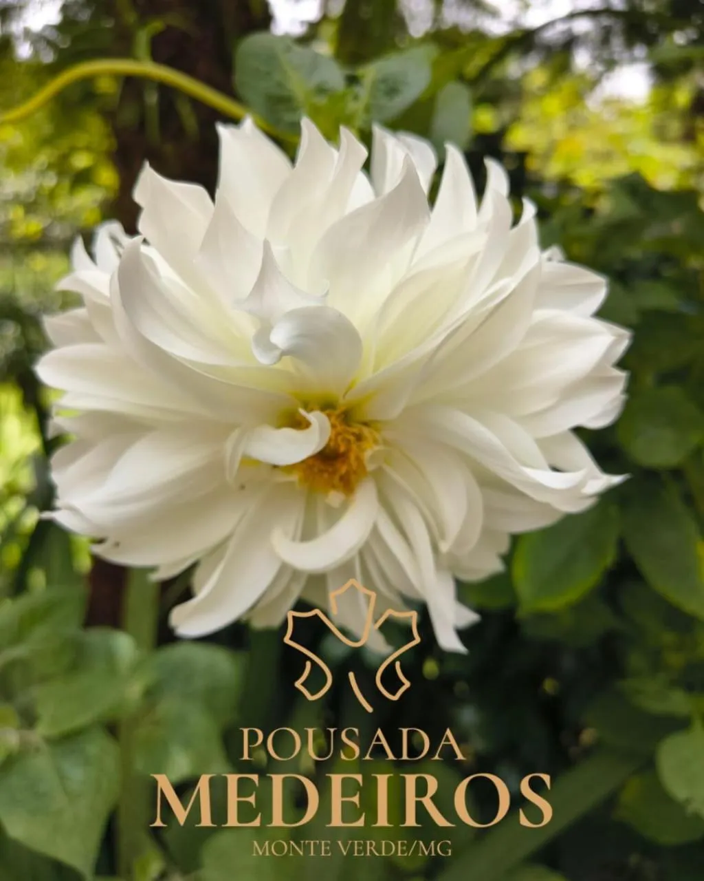 Pousada Medeiros