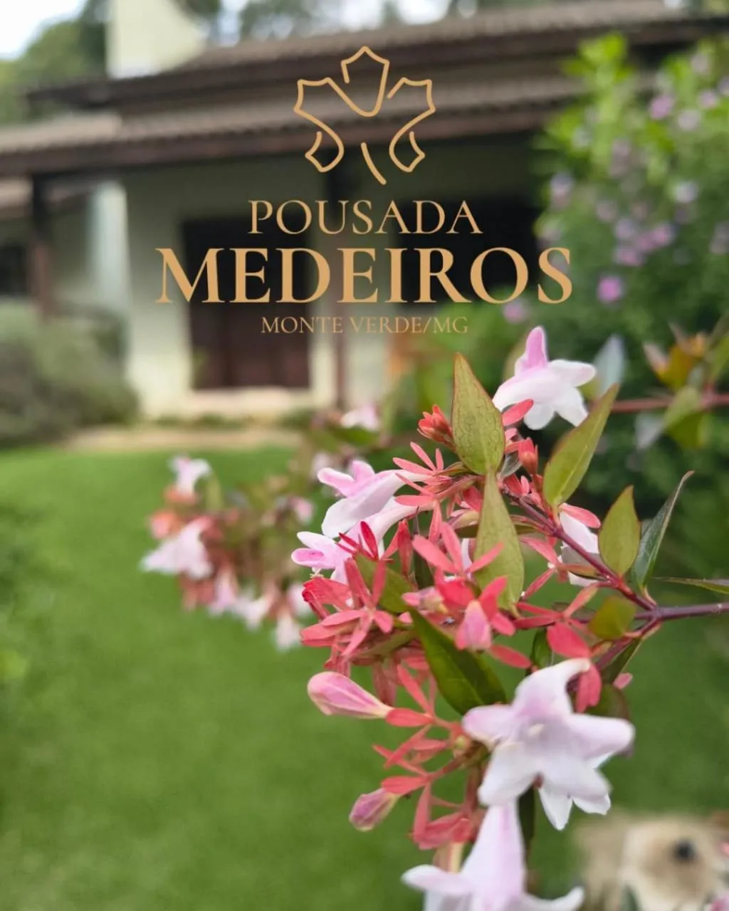 Pousada Medeiros