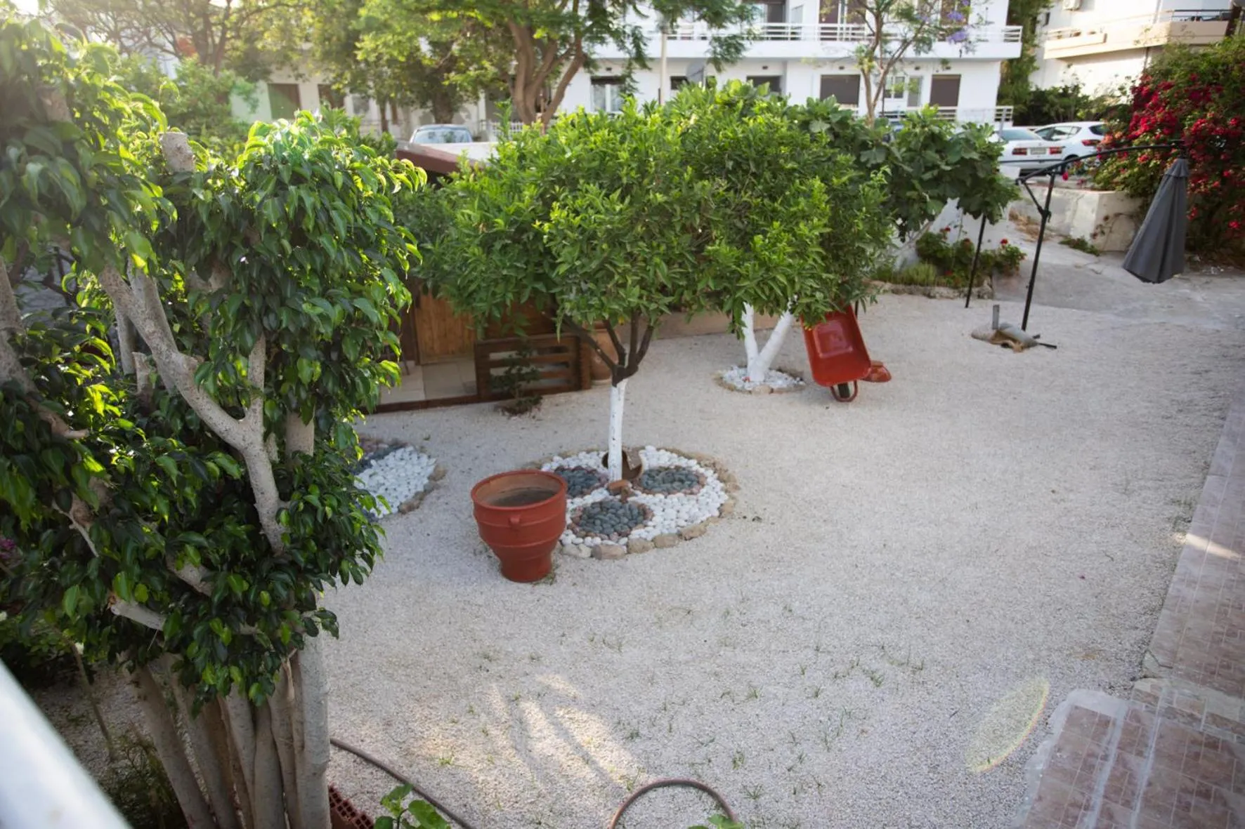 Spring in Star Hotel