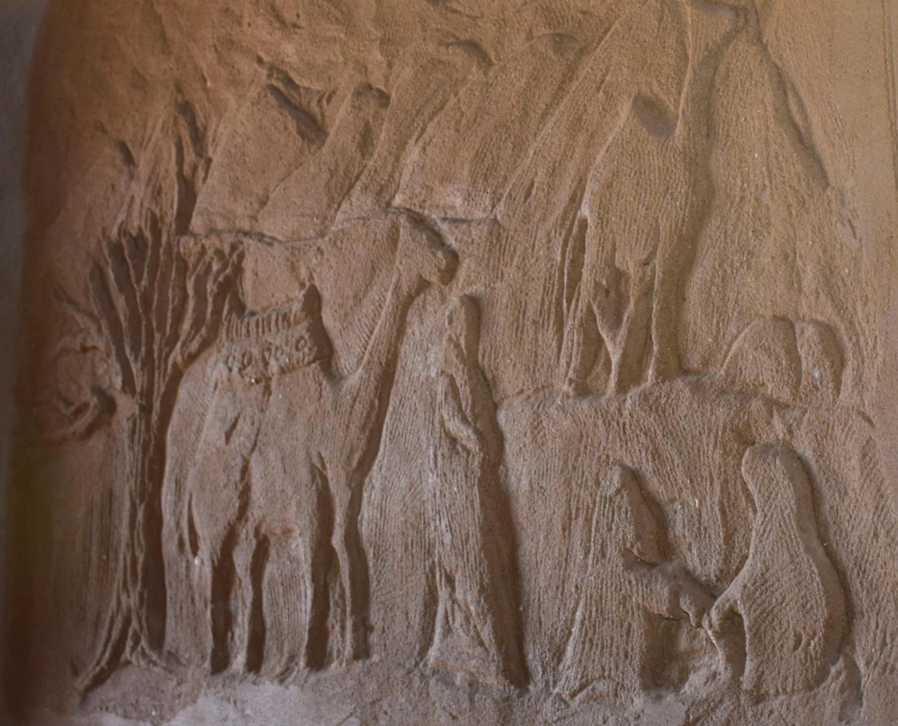 Shanda Lodge Desert Resort