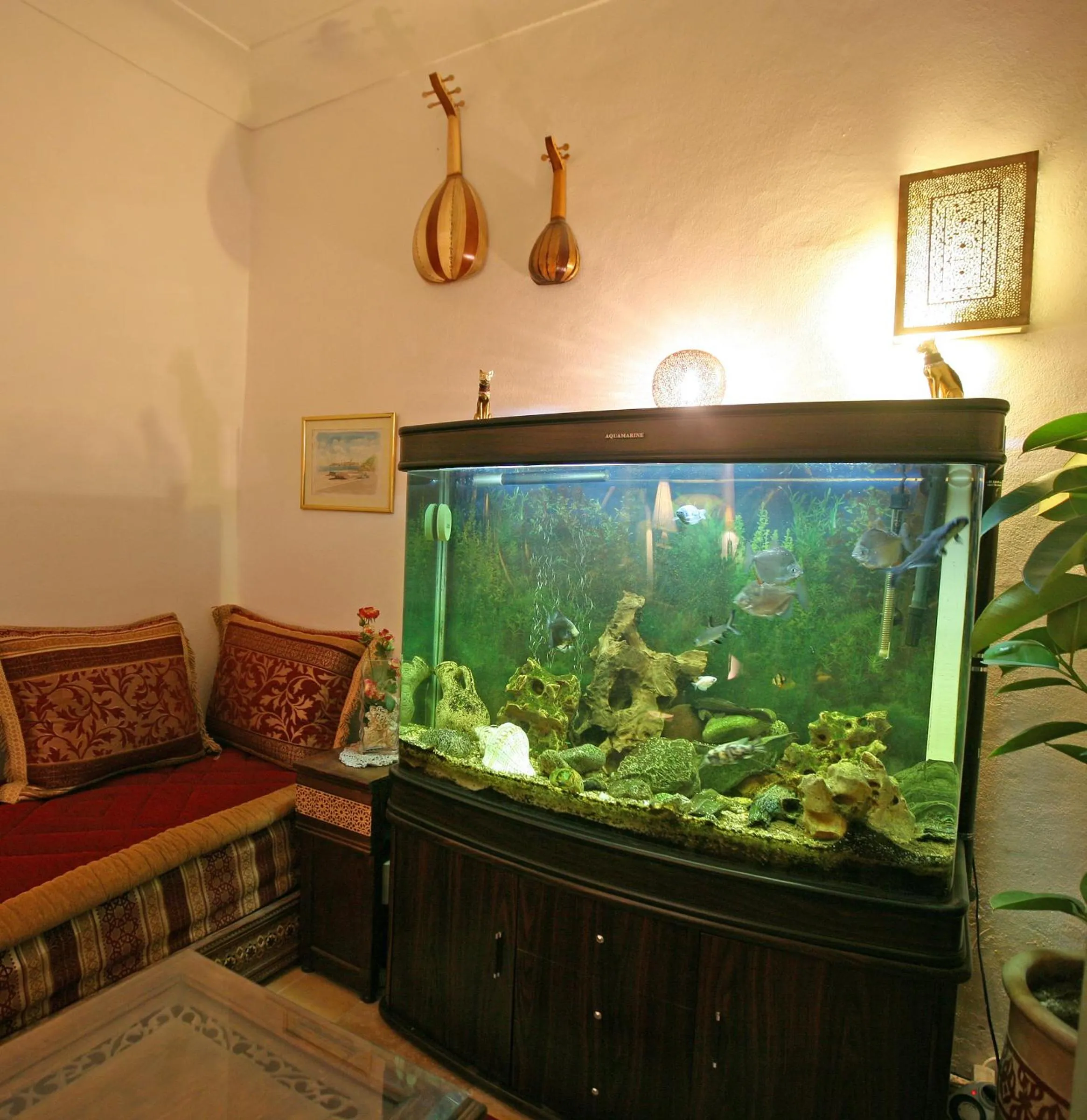 Decorative detail in Riad Cherihane
