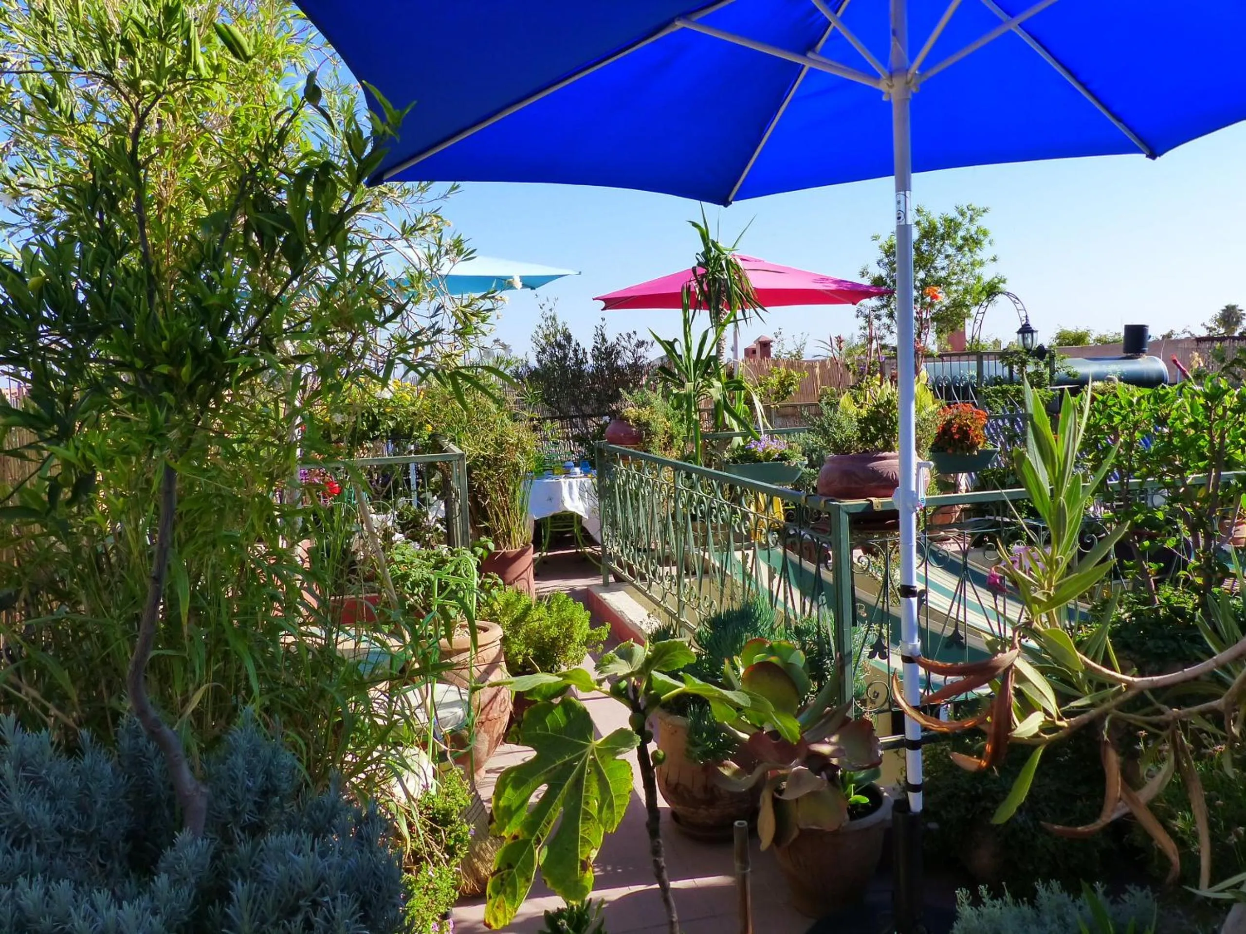 Balcony/Terrace in Riad Cherihane