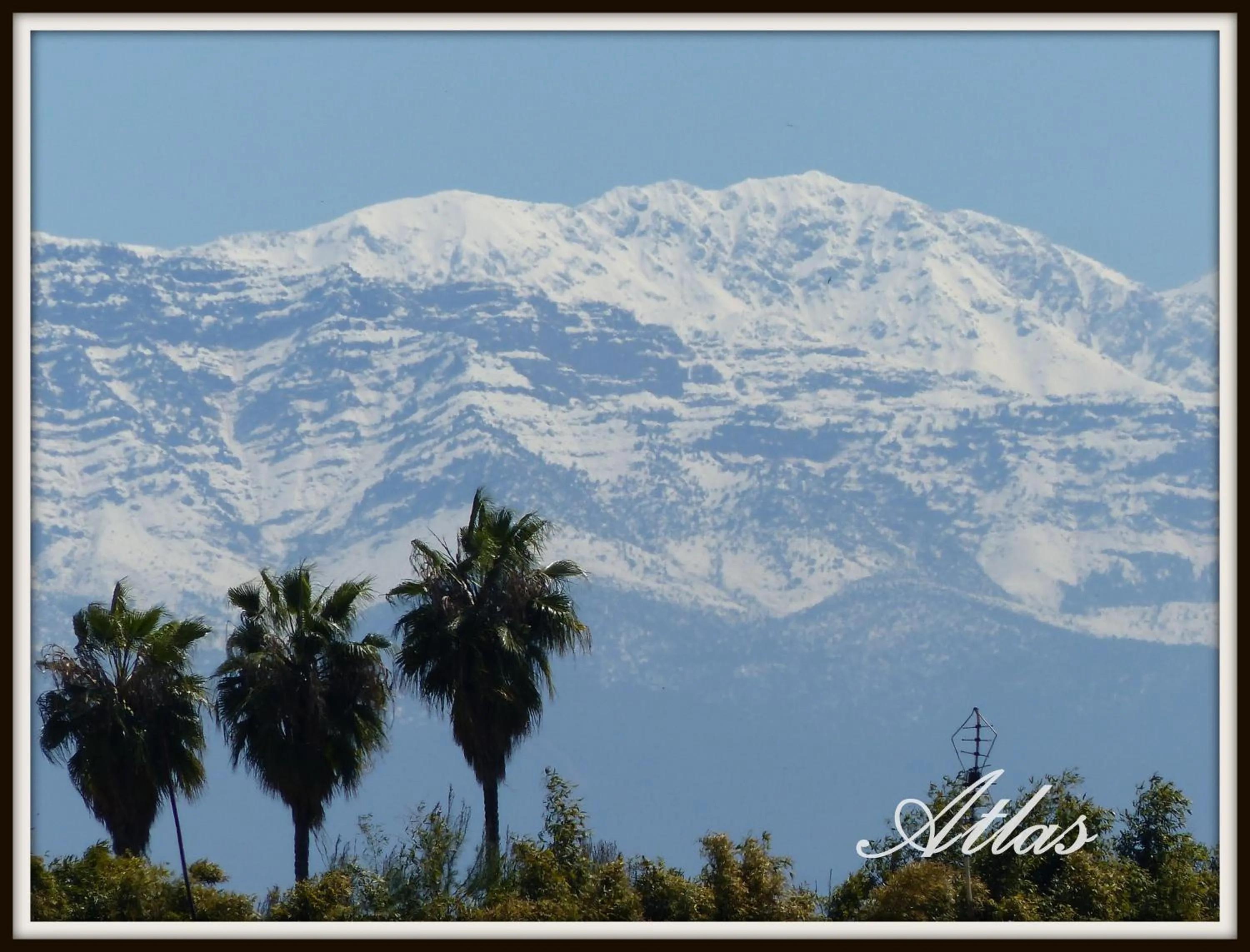 Day in Riad Cherihane