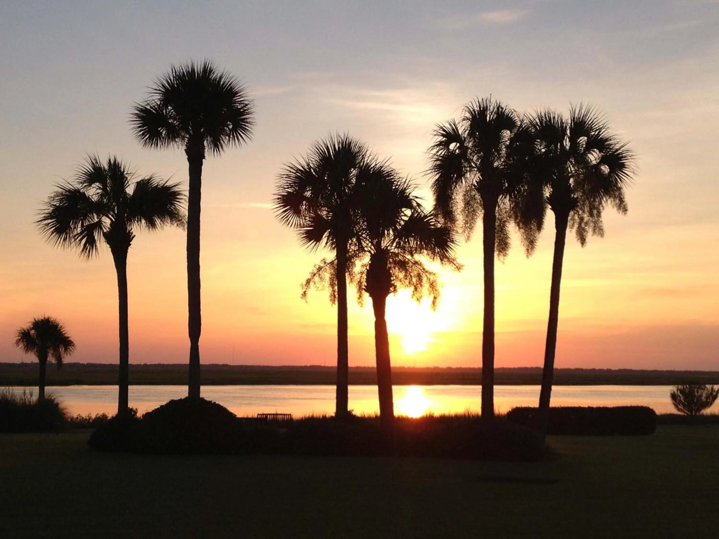 Natural landscape in Epworth By The Sea