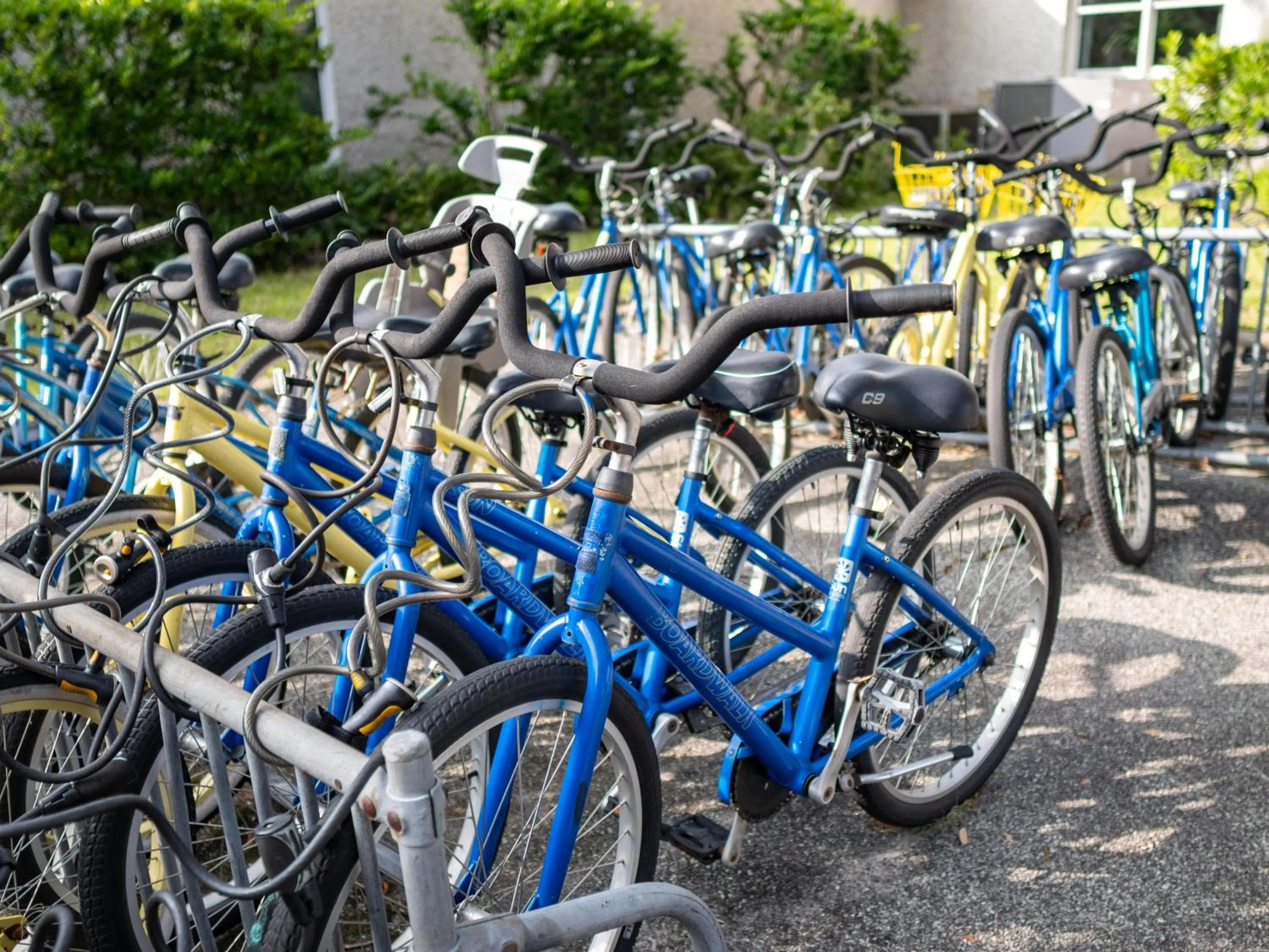 Cycling in Epworth By The Sea