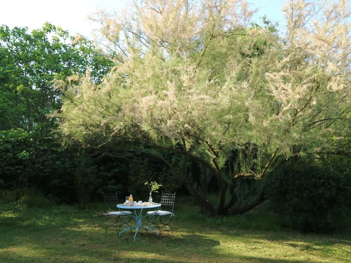 Garden in Mas du Rollier Chambres d'hôtes