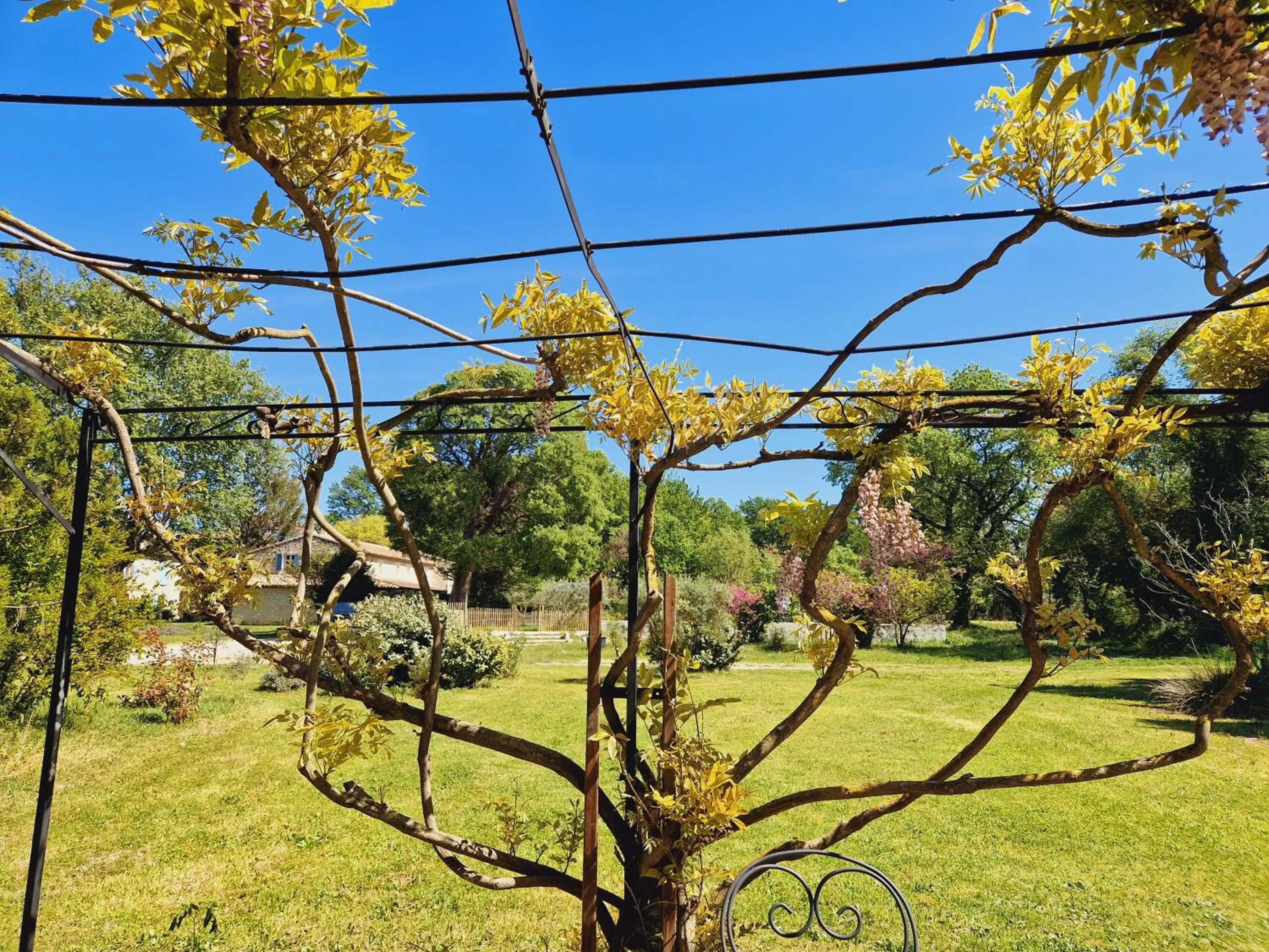 Mas du Rollier Chambres d'hôtes