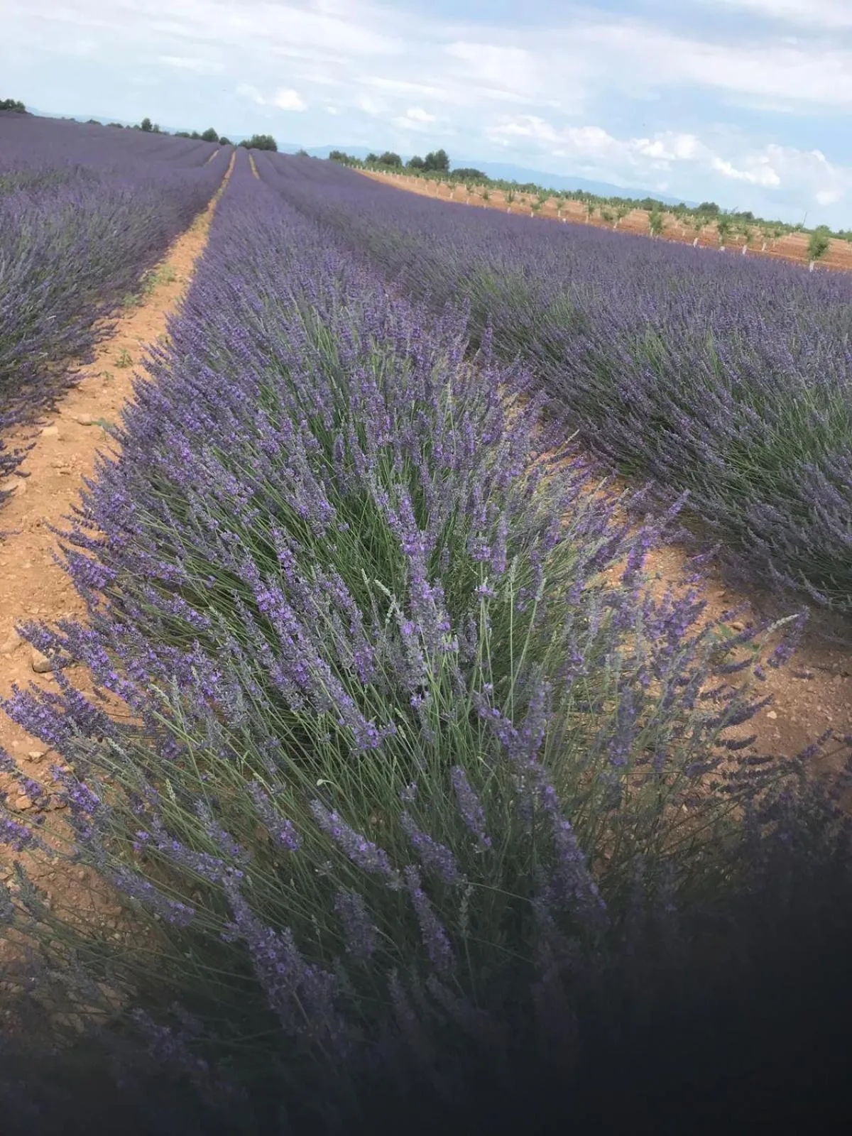 Nearby landmark in L' Esmerand