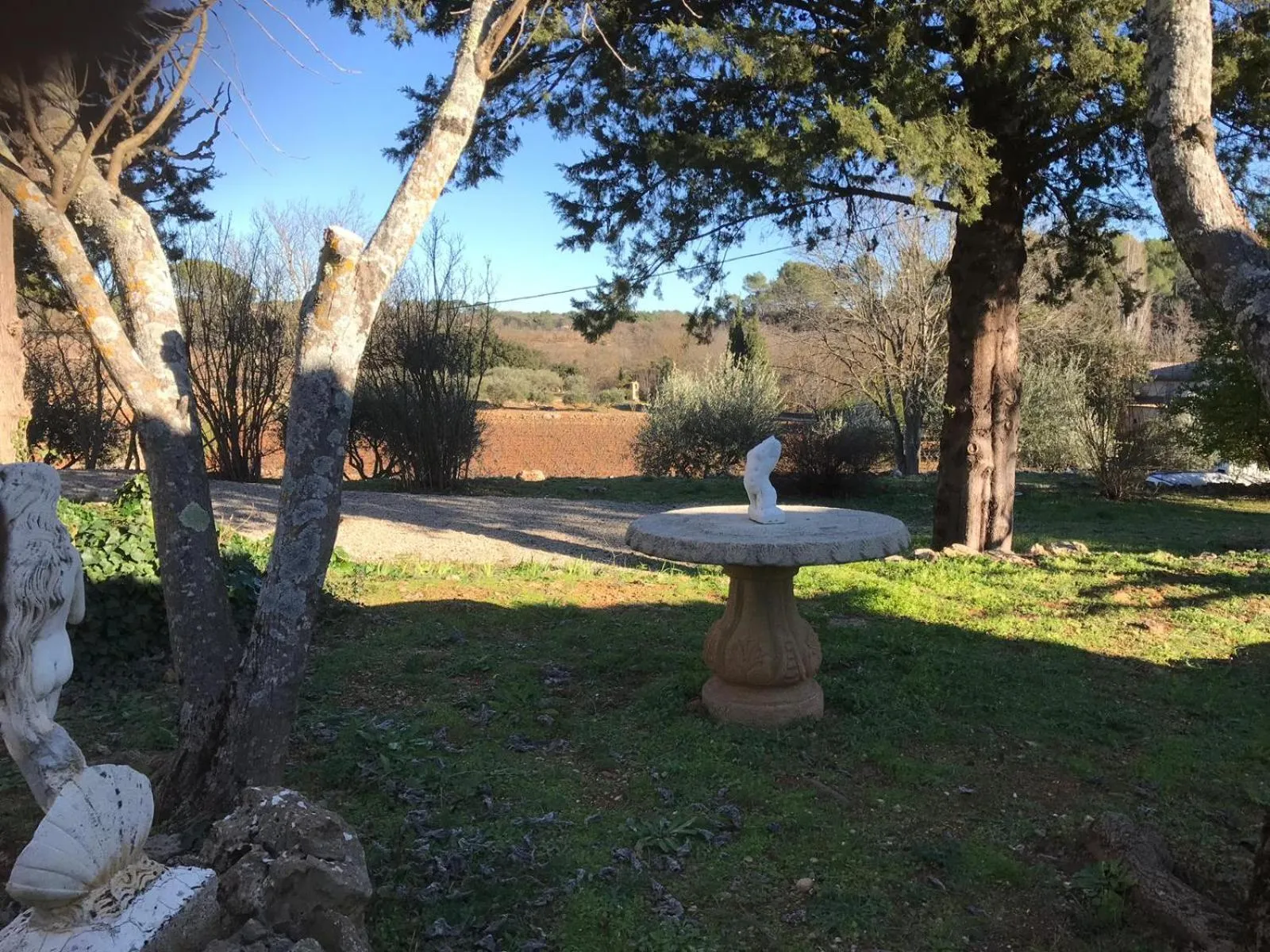 Garden in L' Esmerand