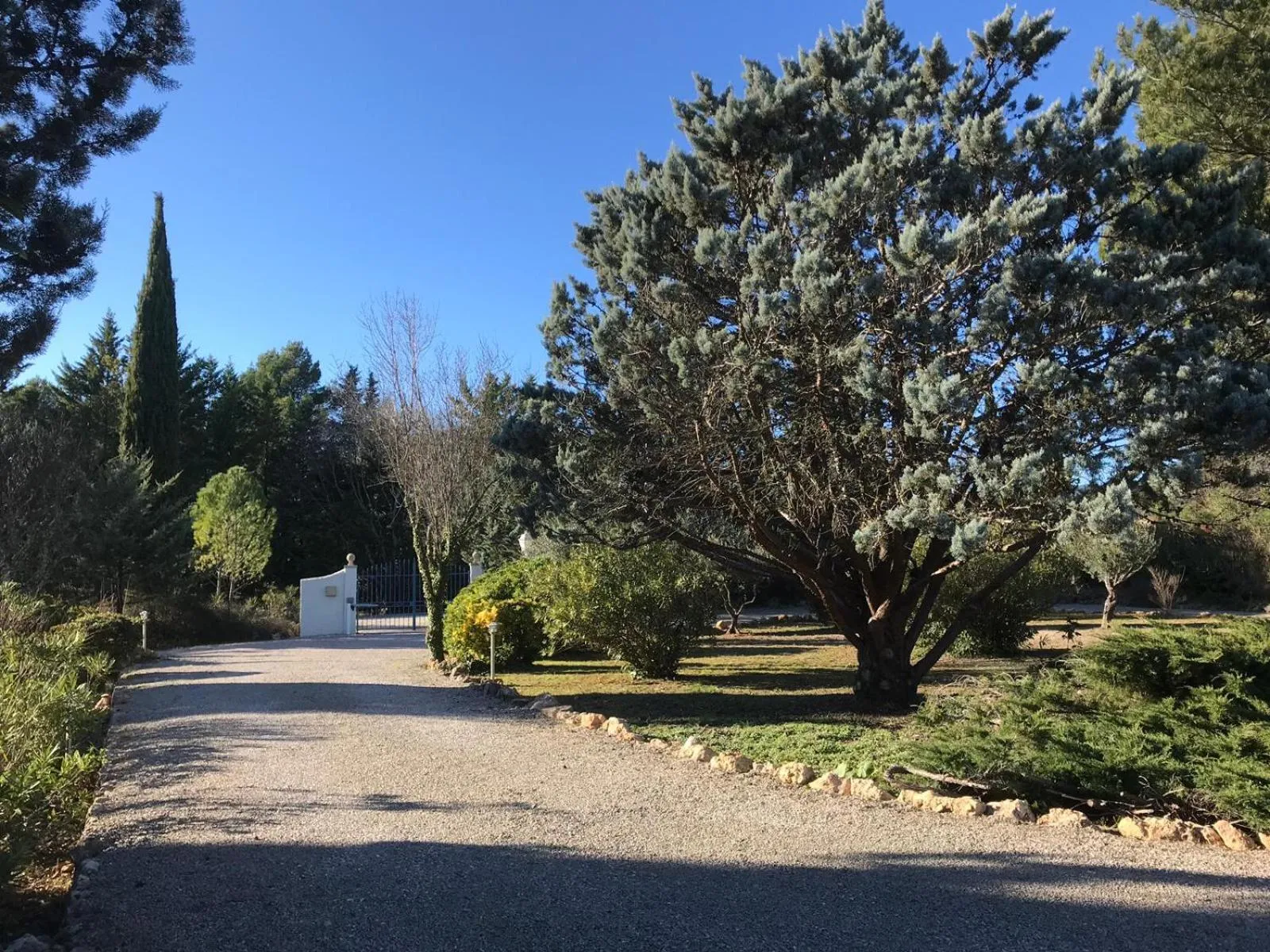 Garden in L' Esmerand