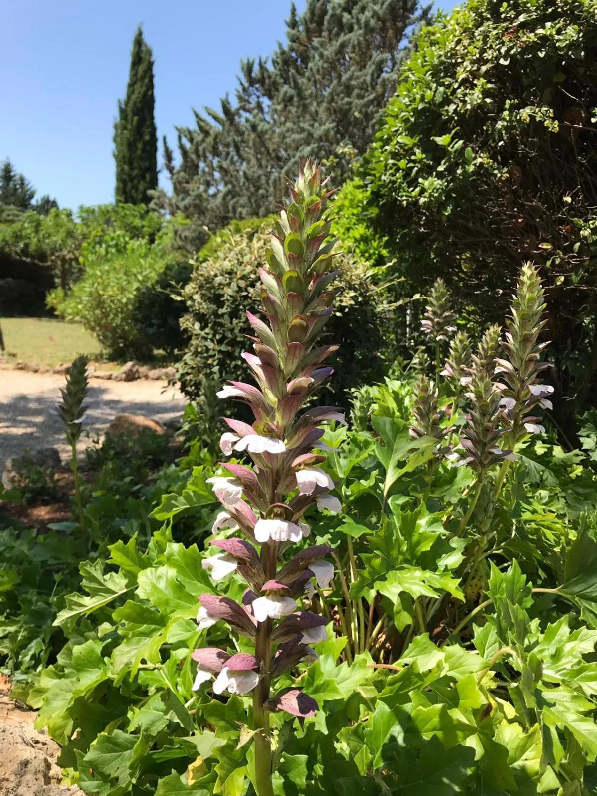 Other in L' Esmerand