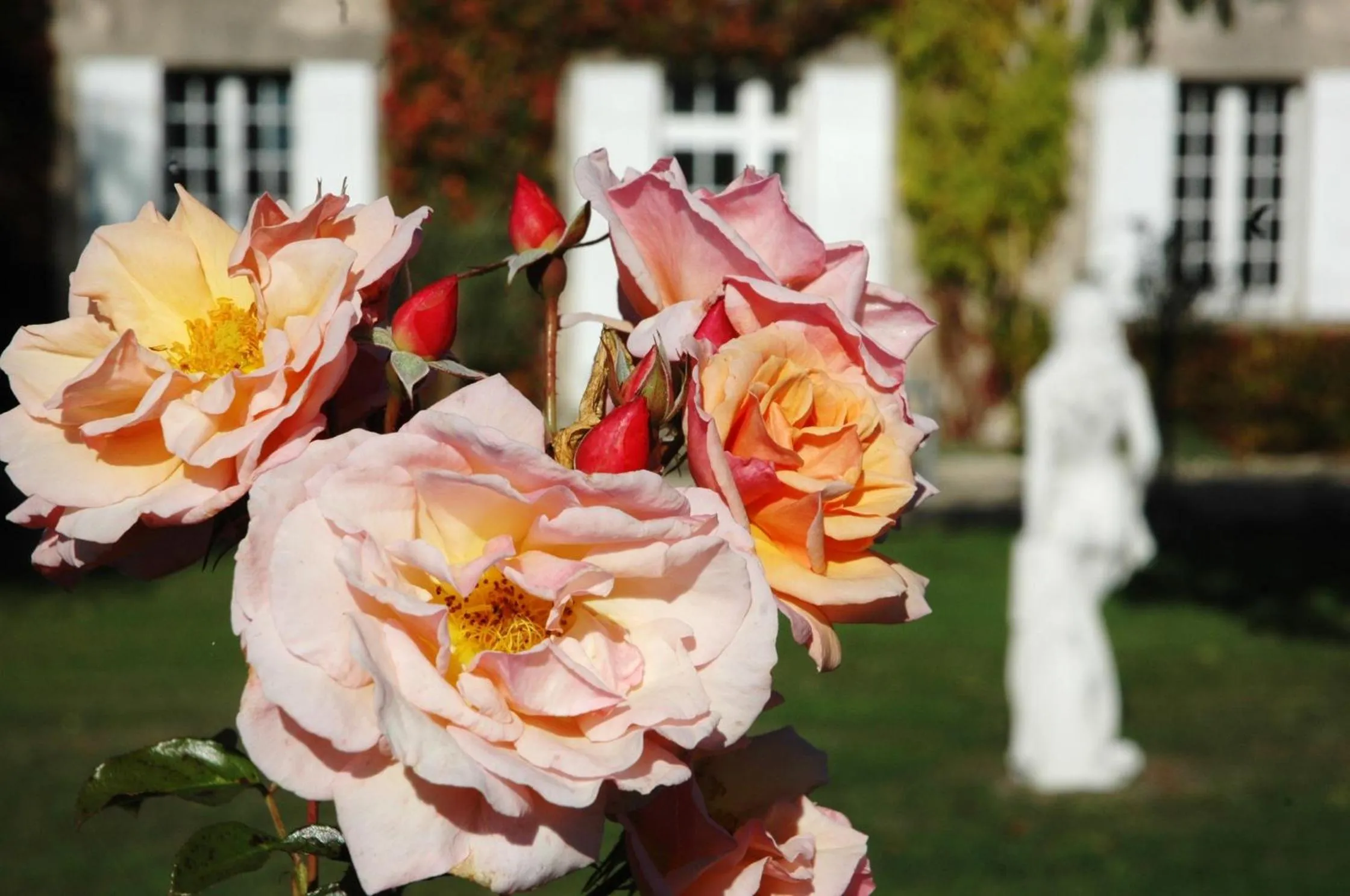 Garden in Domaine de la Queyssie