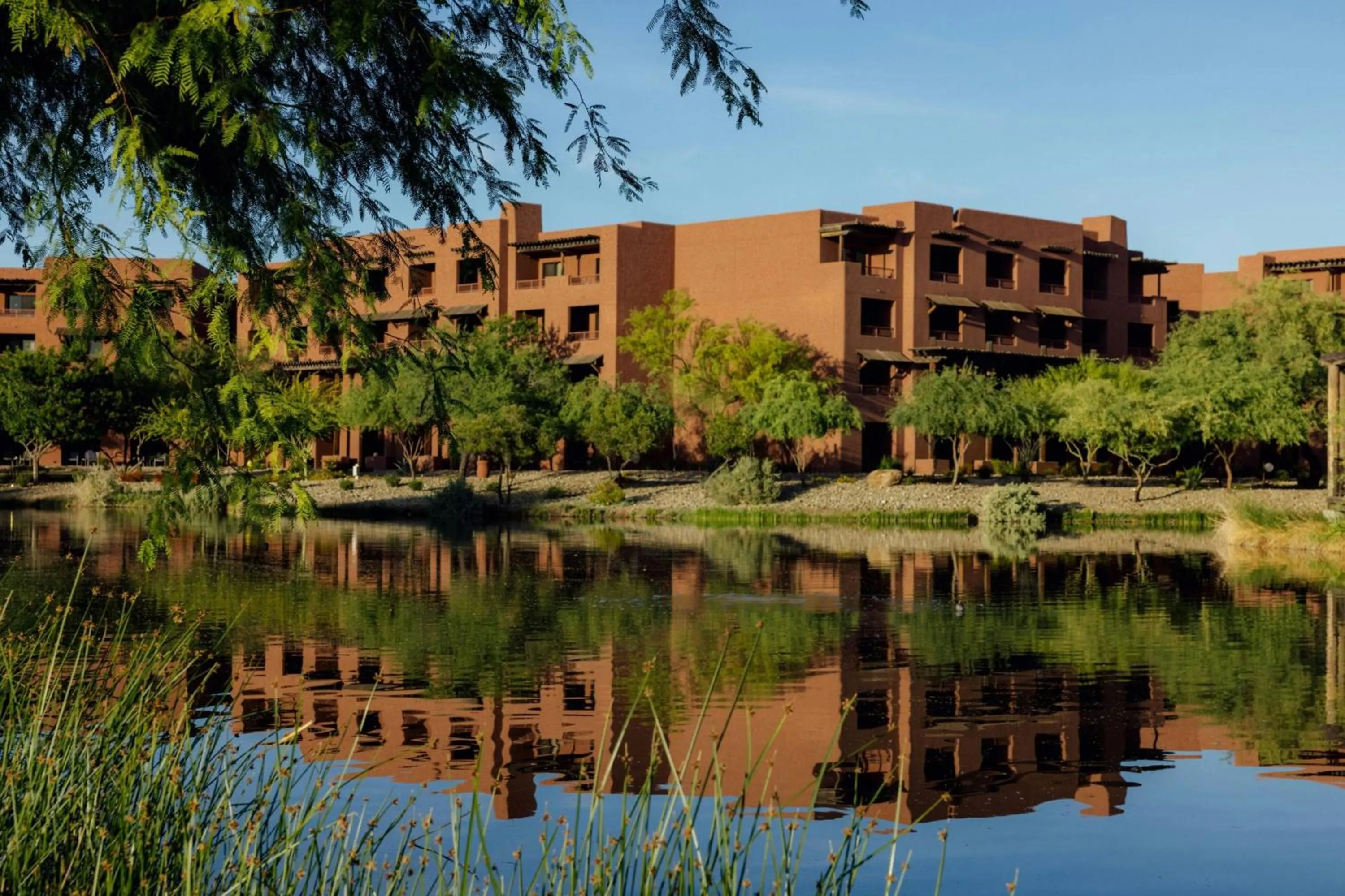 View (from property/room) in Sheraton Grand at Wild Horse Pass