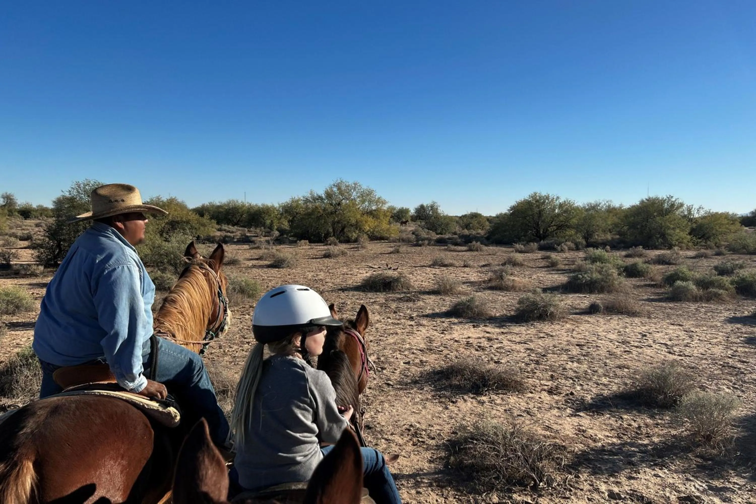 Other in Sheraton Grand at Wild Horse Pass