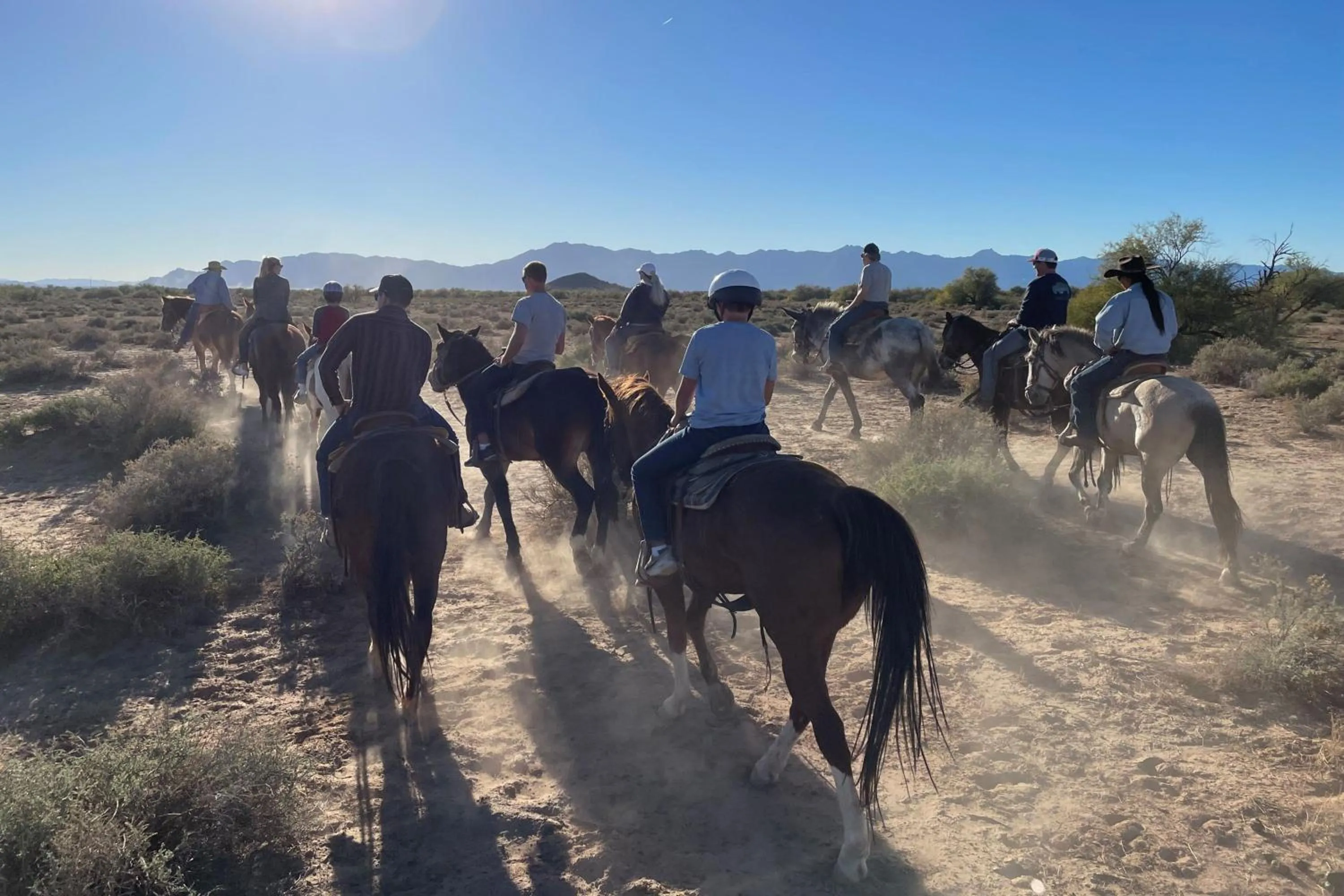 Other in Sheraton Grand at Wild Horse Pass