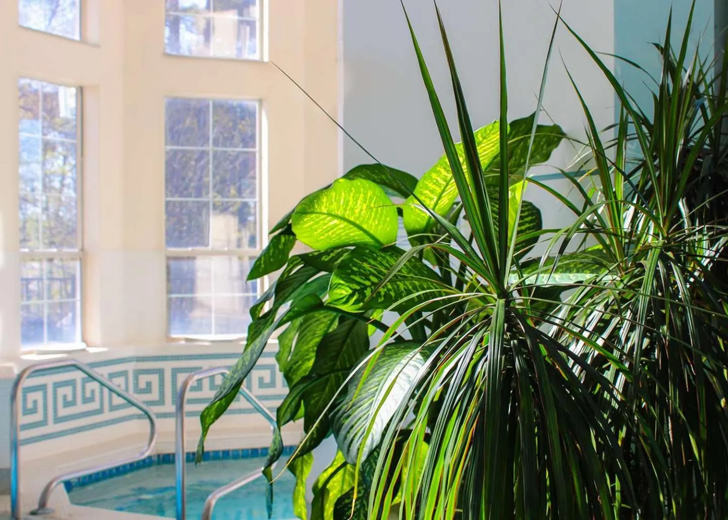 Spa and wellness centre/facilities in Senator Inn & Spa