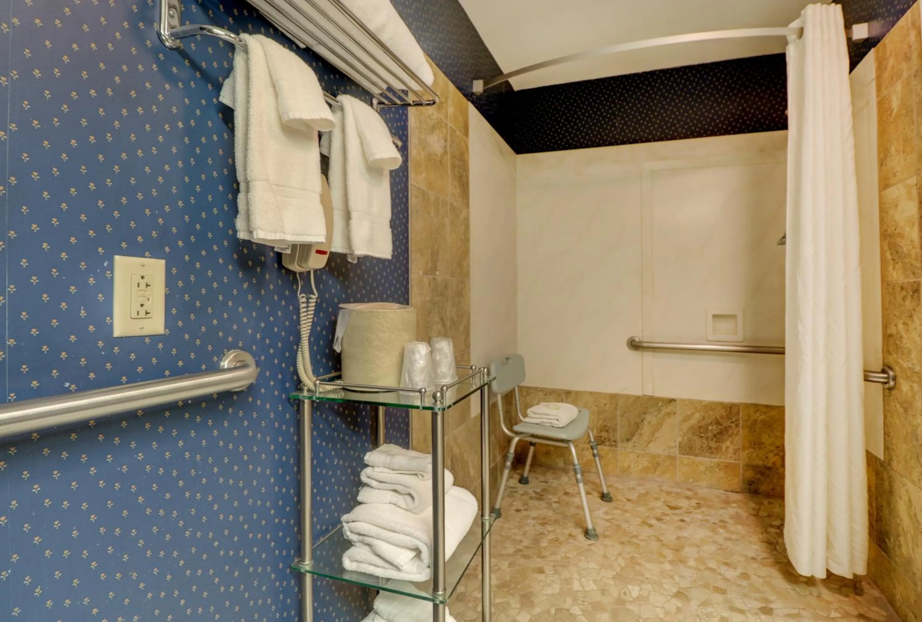 Shower in Senator Inn & Spa