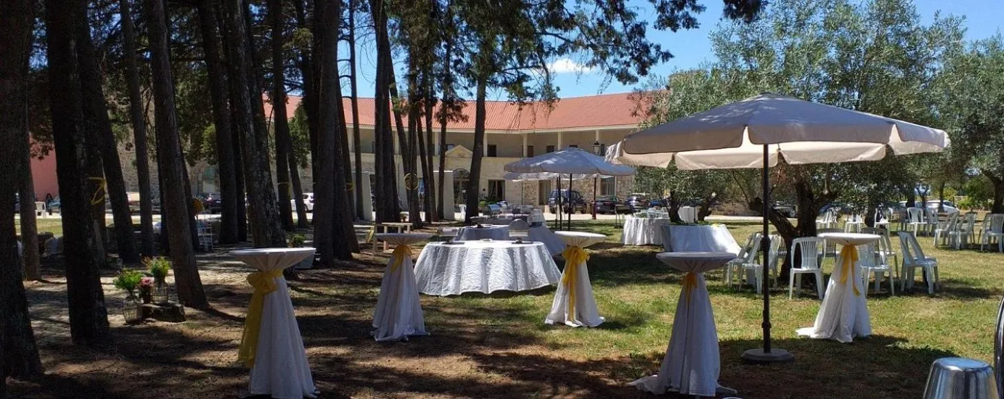 Palace Hotel & Spa Termas de São Tiago