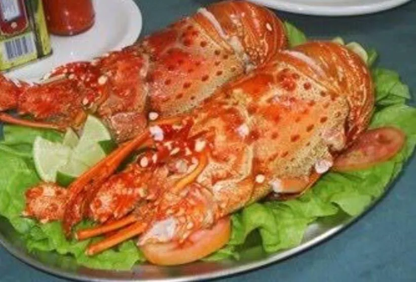 Pousada Lagoa da Mata