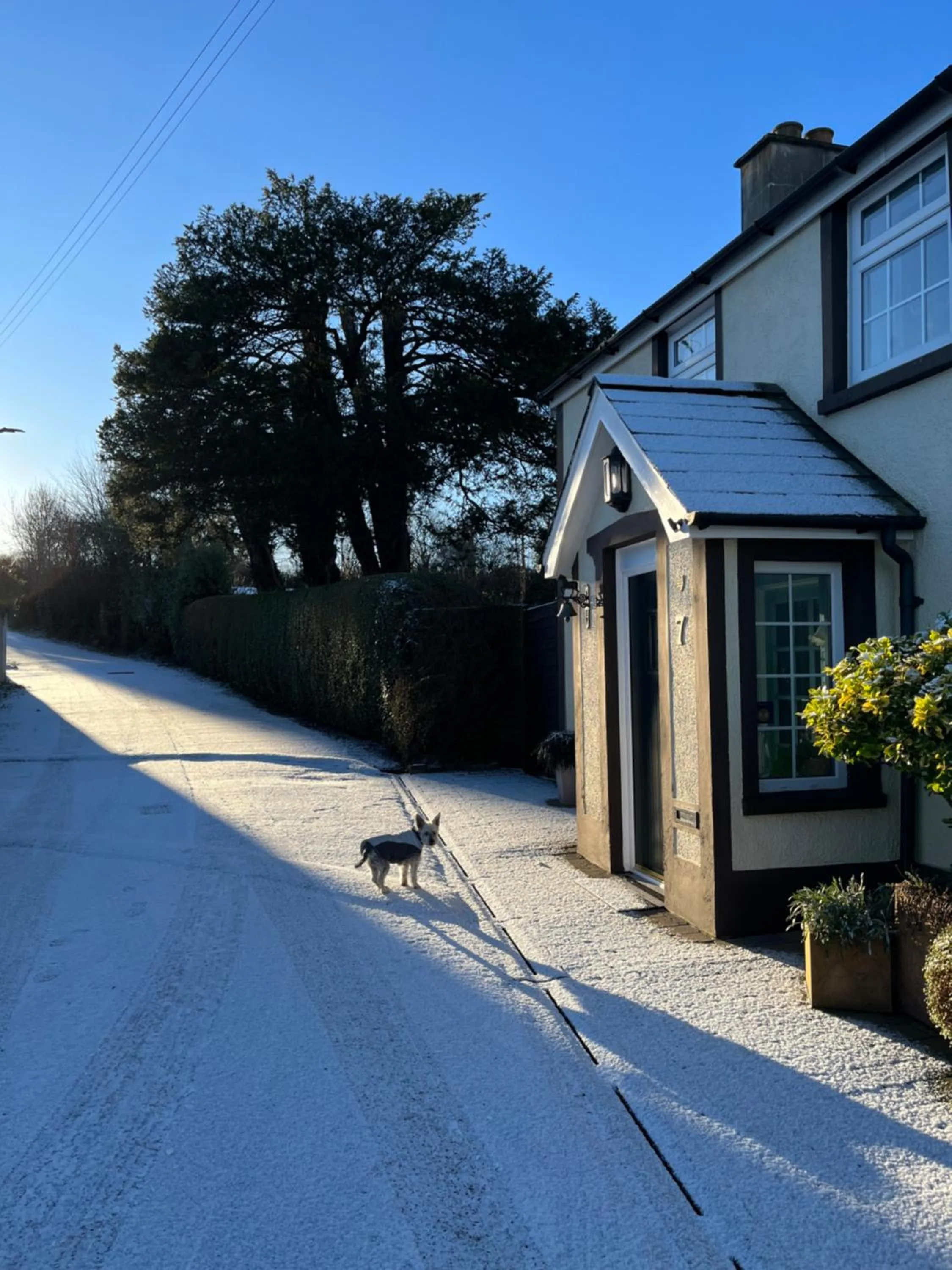 Property building in Old Mill House