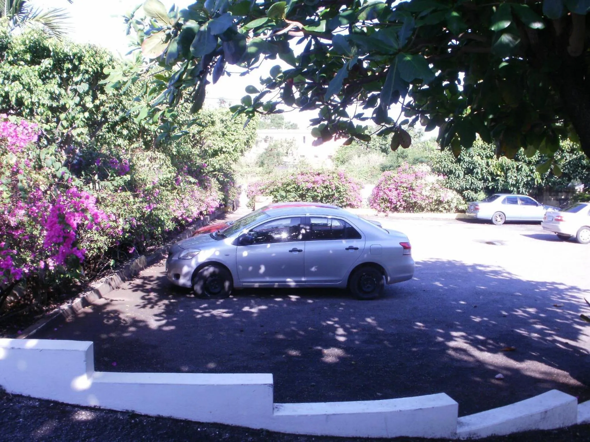 Area and facilities in Pineapple Court Hotel