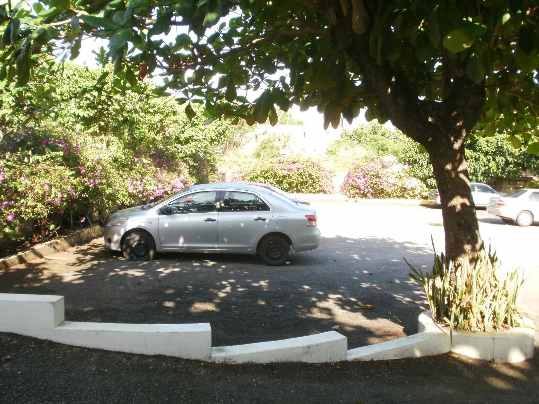 Day in Pineapple Court Hotel