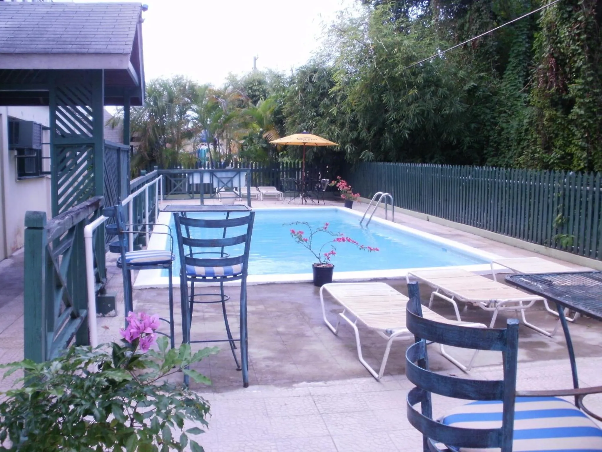 Swimming pool in Pineapple Court Hotel