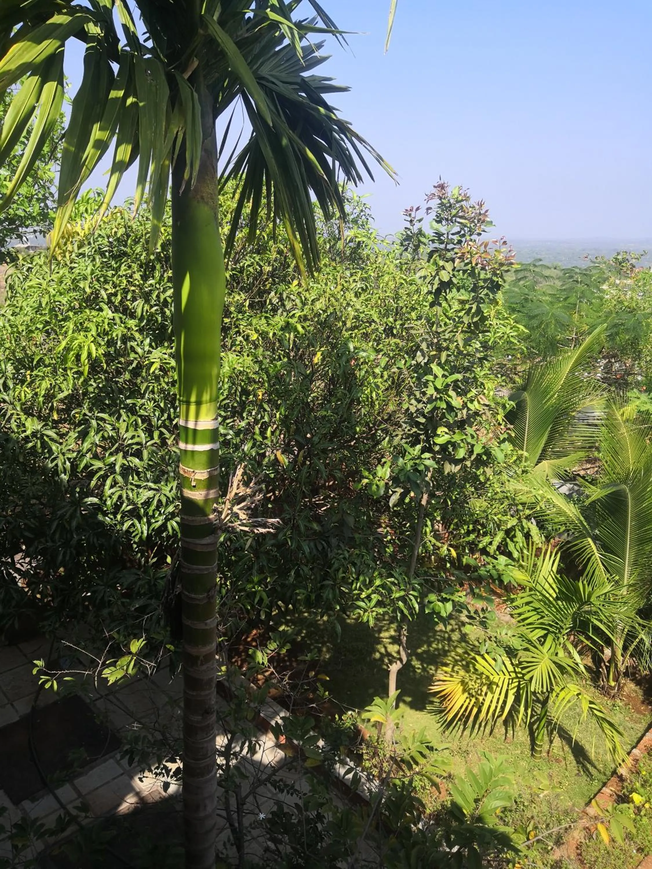 Garden view in Redstone House by Oxystays Hospitality