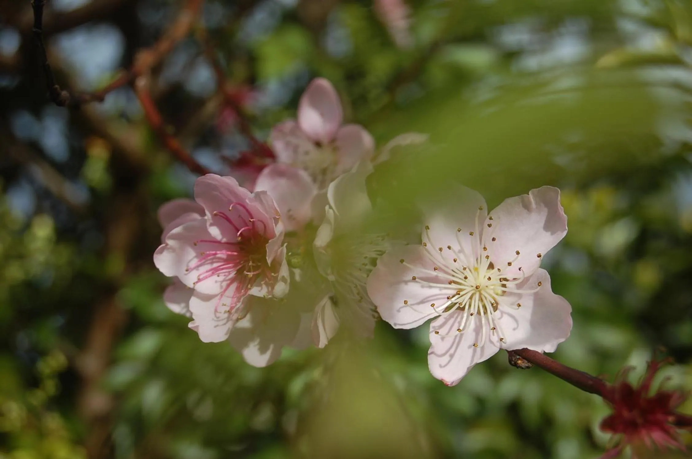 Property building in Gateway Motor Lodge - Wanganui