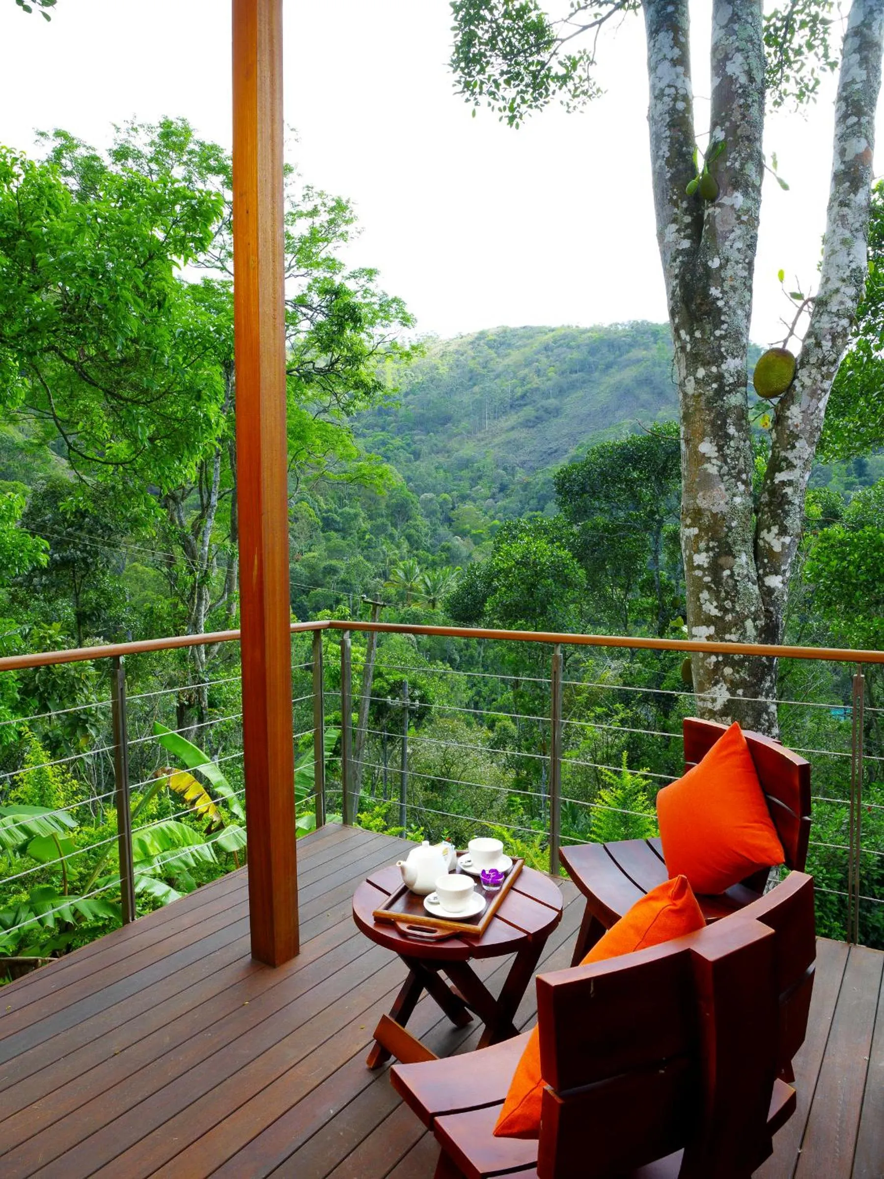 Mountain view in Niraamaya Retreats Cardamom Club