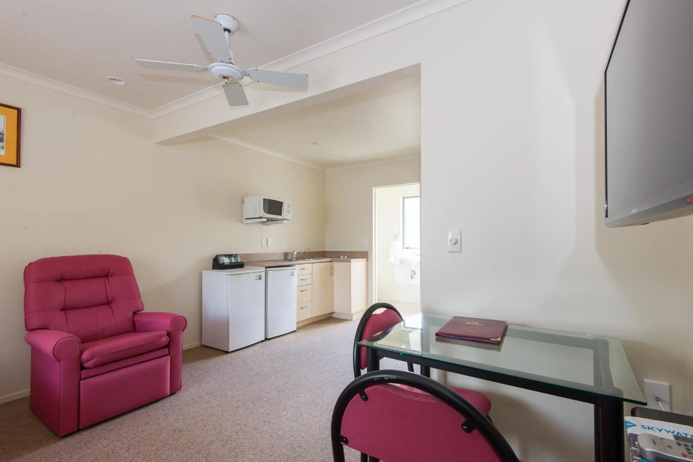 TV and multimedia in Hamilton Settlers Motor lodge