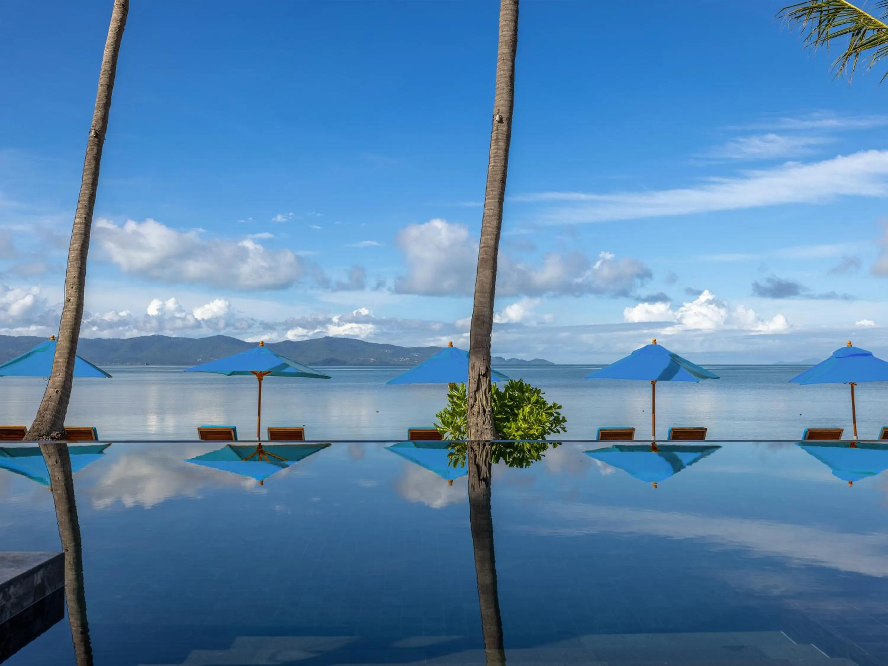 Pool view in Explorar Koh Phangan - Adults Only Resort and Spa