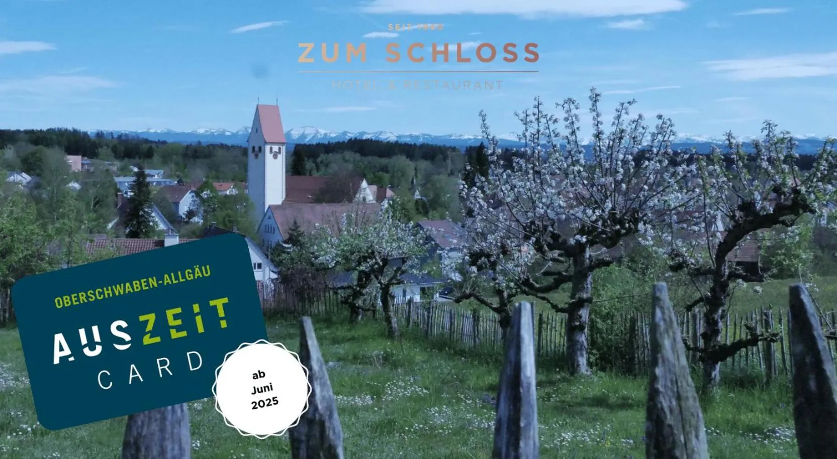 Area and facilities in Boutique - Hotel Zum Schloss