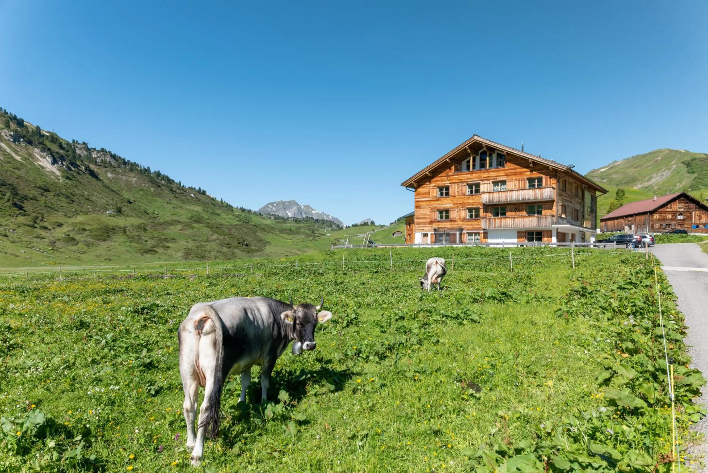 Alphus Appartements