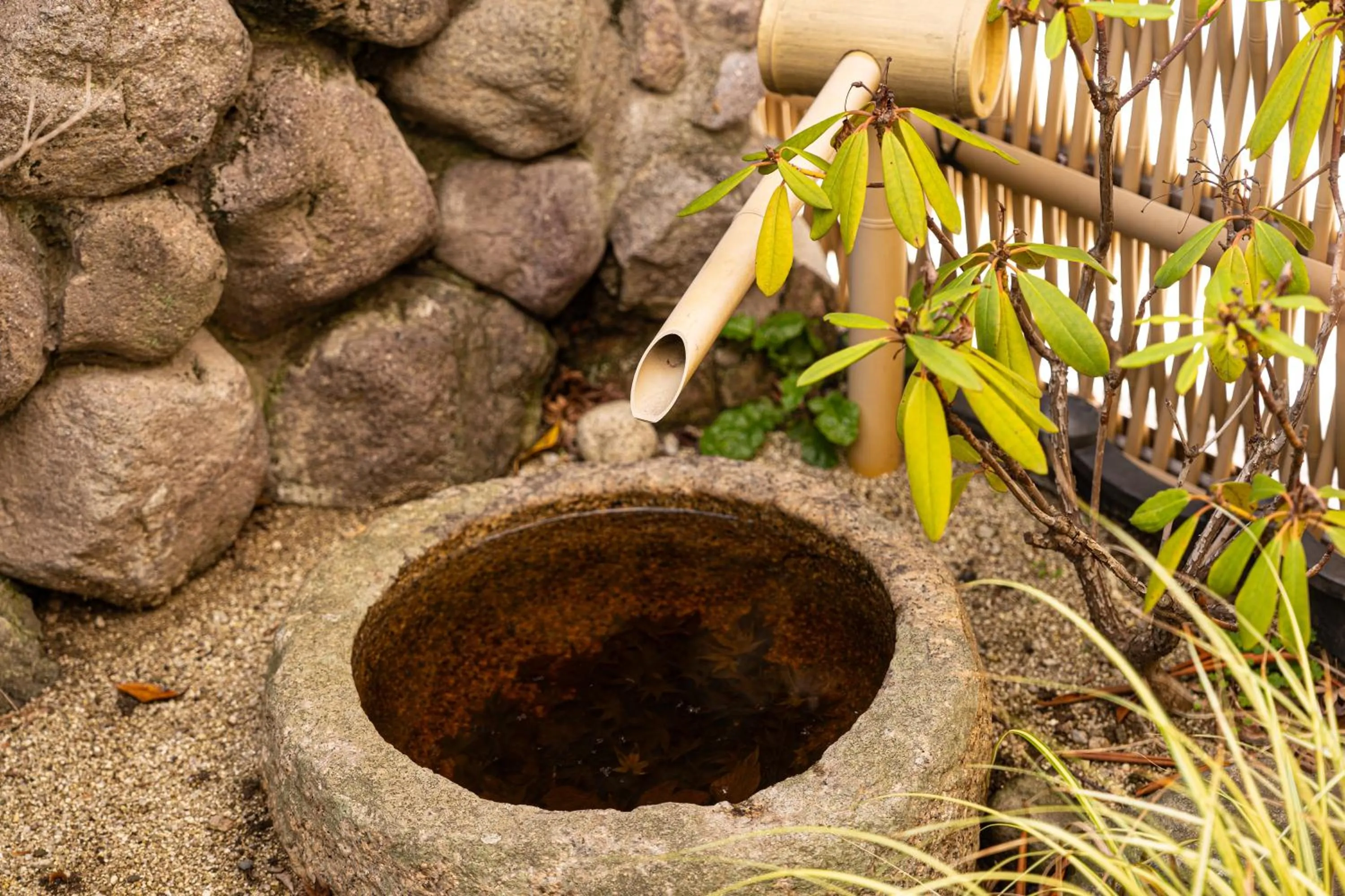 Day in BEPPU HOSTEL U&T