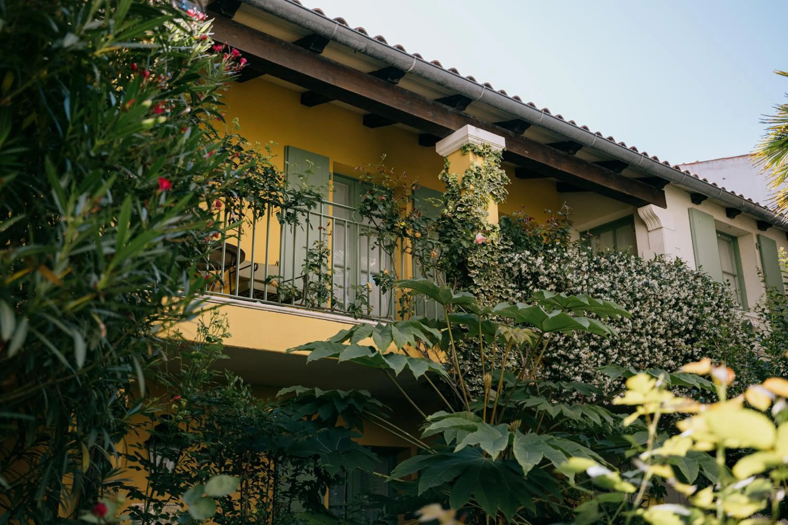 Garden in Hôtel de Toiras